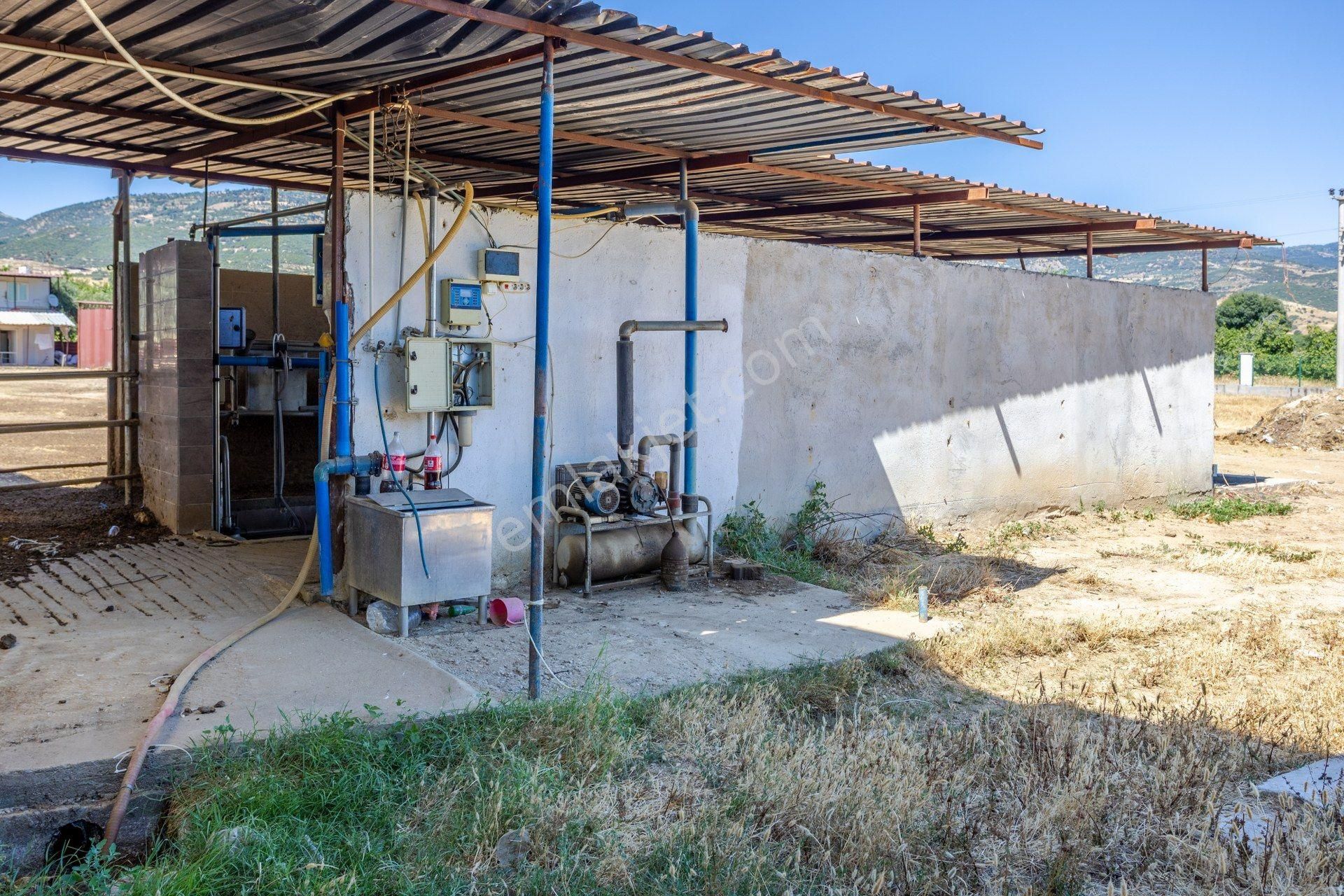 İzmir Kiraz'da 5500 M2 Arsa İçinde 1800 M2 Hazır Büyükbaş Damı - Görsel 25