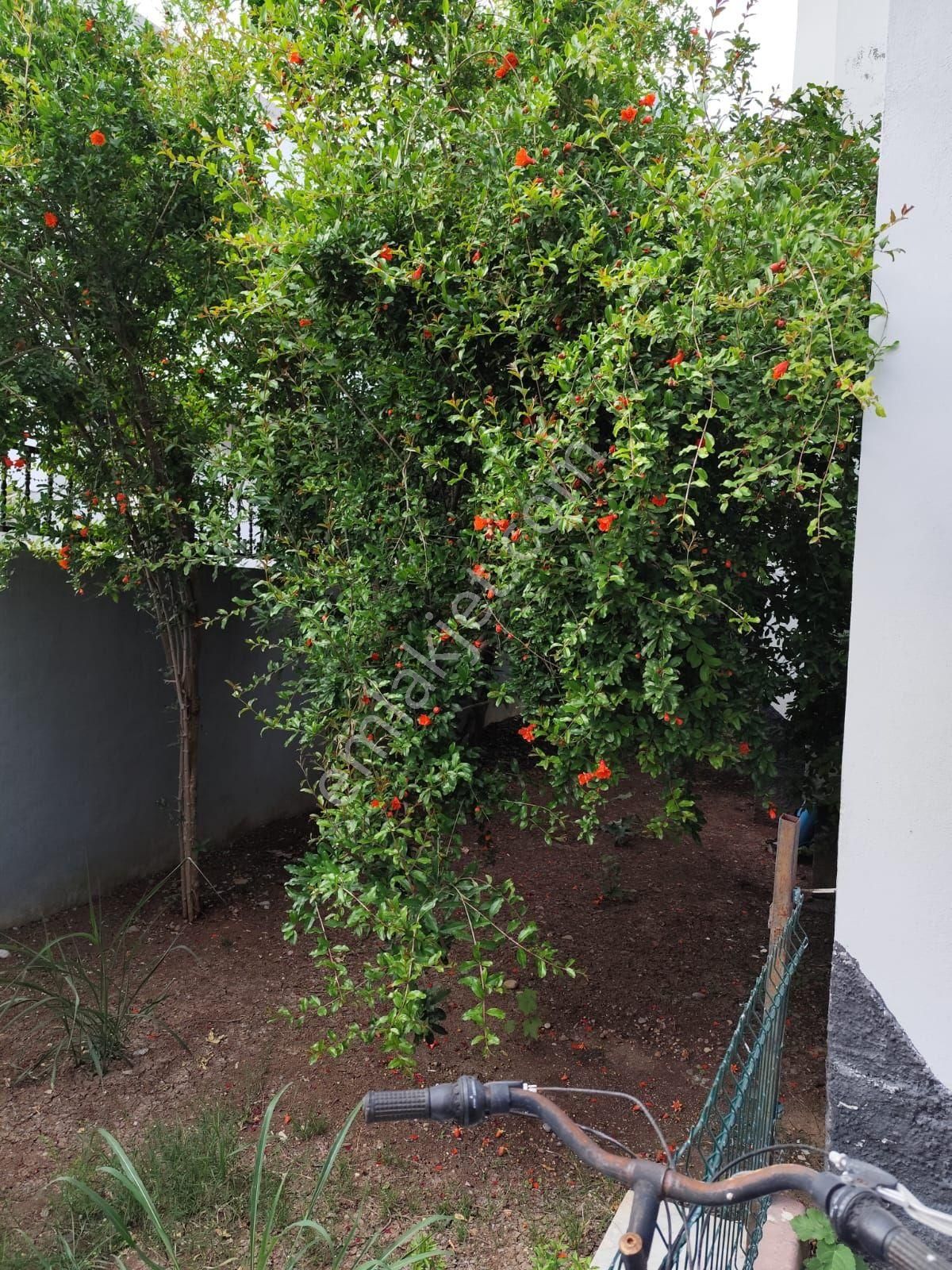 Aksel'den Akkapı Da 2katlı İmarlı İskanlı Ruhsatlı 2 Katlı Bahçeli Otoparklı Fırsat Yer - Görsel 18