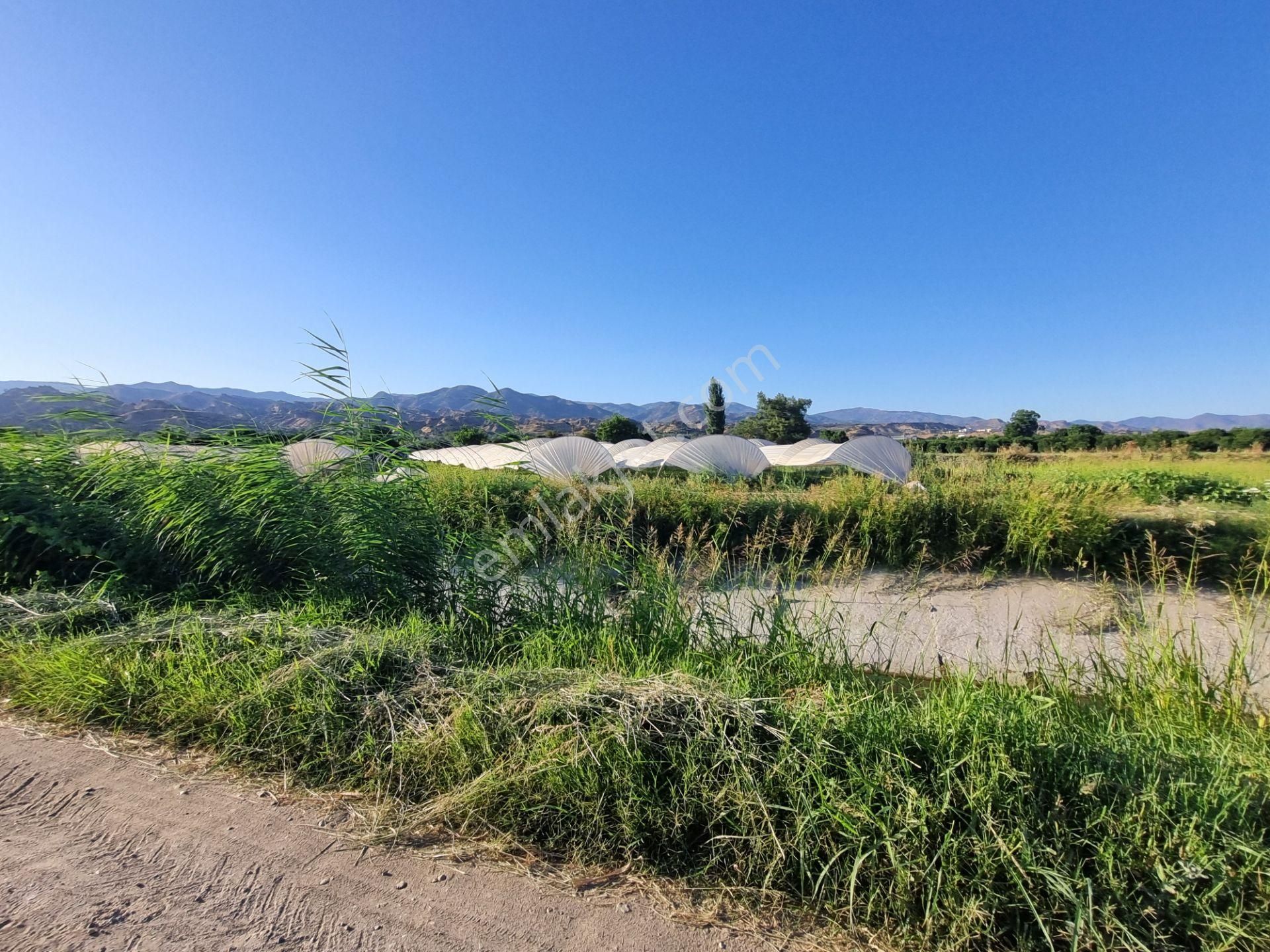 Aydın Nazilli Yöntem Emlaktan Sultanhisar Atça Mah.de Denizli/aydın Karayoluna Yakın Satılık Tarla - Görsel 17