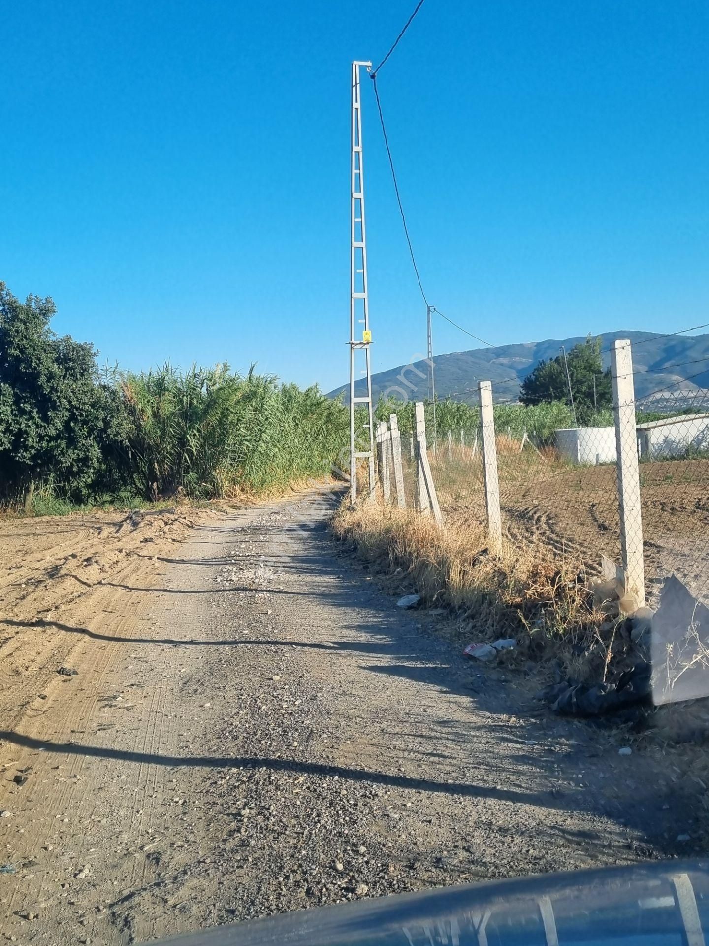Aydın Nazilli Yöntem Emlaktan Sultanhisar Atça Mah.de Denizli/aydın Karayoluna Yakın Satılık Tarla - Görsel 7