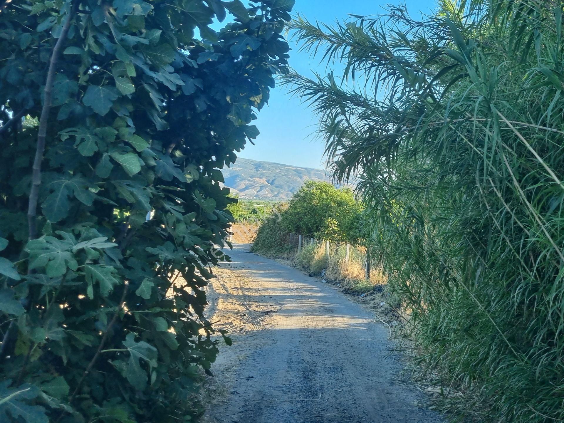 Aydın Nazilli Yöntem Emlaktan Sultanhisar Atça Mah.de Denizli/aydın Karayoluna Yakın Satılık Tarla - Görsel 8