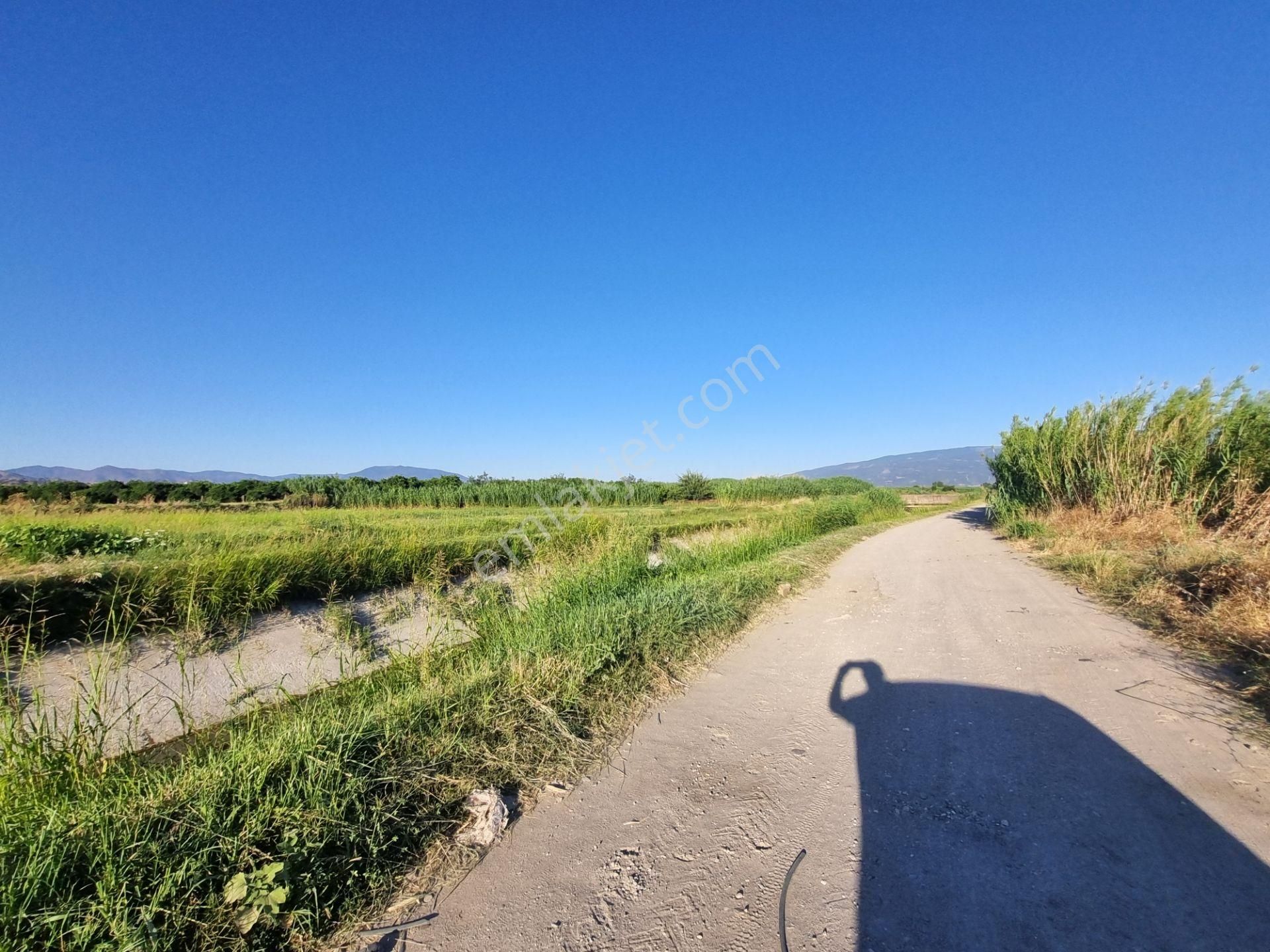 Aydın Nazilli Yöntem Emlaktan Sultanhisar Atça Mah.de Denizli/aydın Karayoluna Yakın Satılık Tarla - Görsel 16