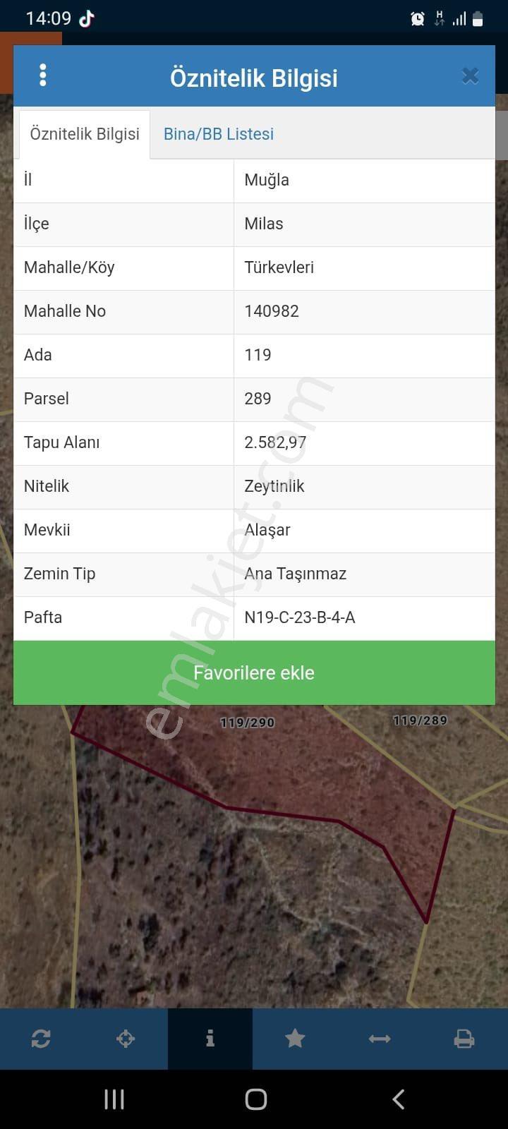 Muğla Milas Ören Türkevlerinde Satılık Zeytinlik 2583 M2 Gökhan Alkaya’dan