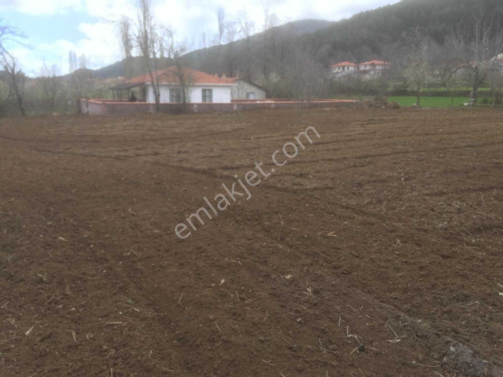 Antika Gayrimenkul'den Gölcük'te Villa İmarlı Satılık Arsa