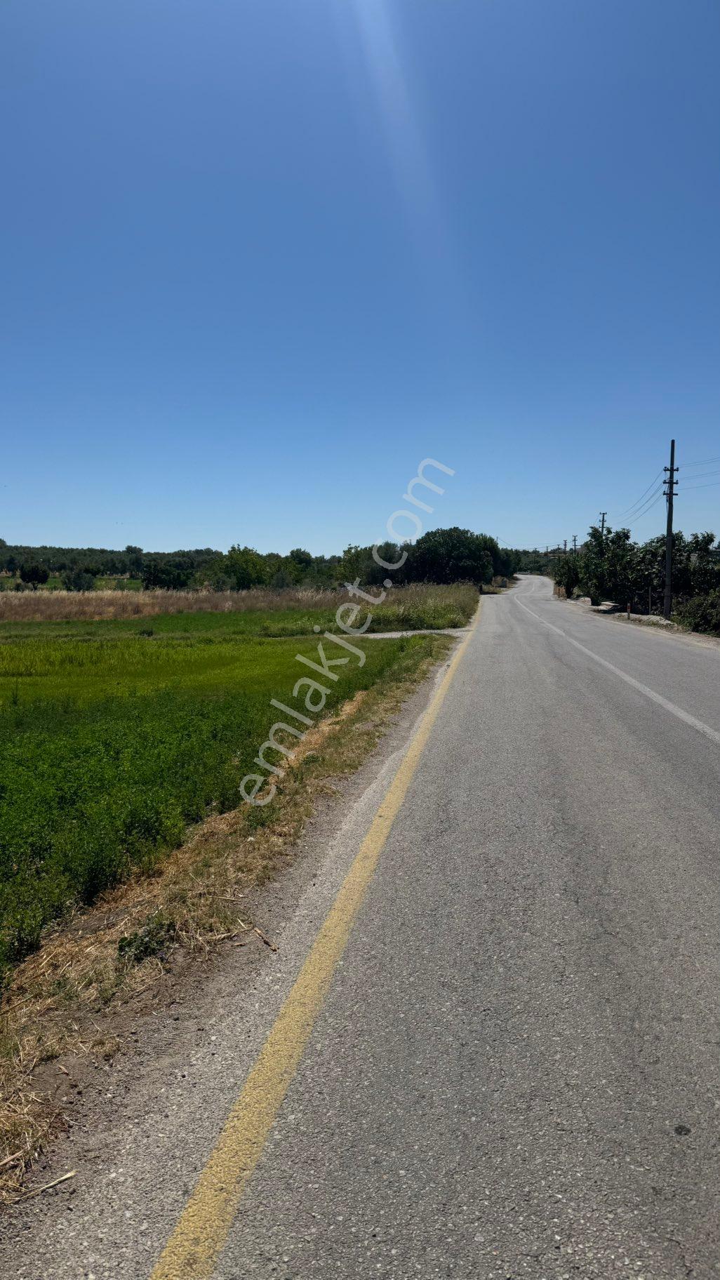 Beyaz Gayrımenkulden Üçpınar Mh De Satılık20 Dönüm Süper Tarla - Görsel 34