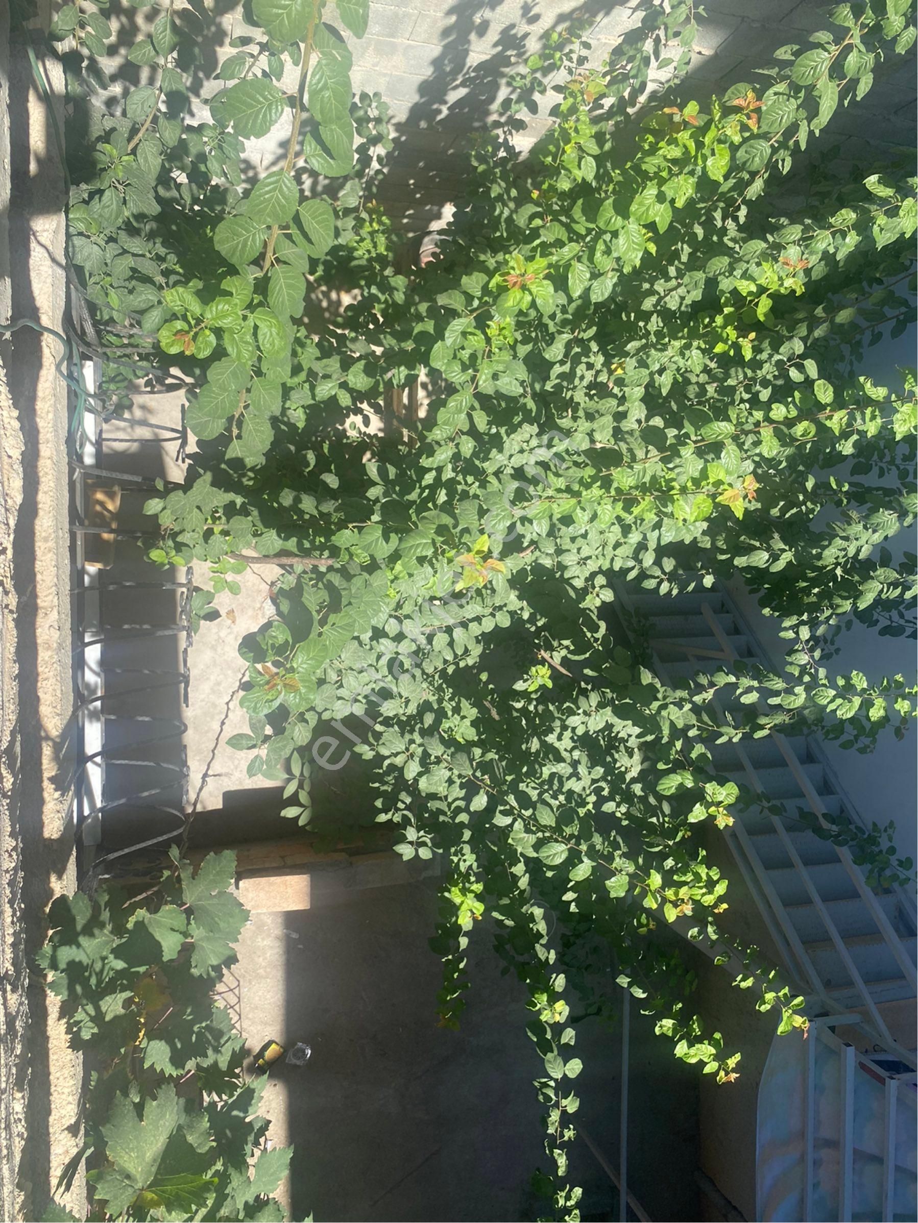 Güneş De 60m 2 Katlı, 2 Şer Odalı,d. Gaz Sobalı - Görsel 22