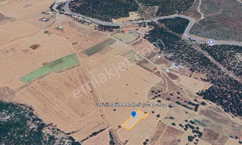 Cevizli'de Satılık Akseki Yolu Üzeri 2357 M2 Tarla - Görsel 2