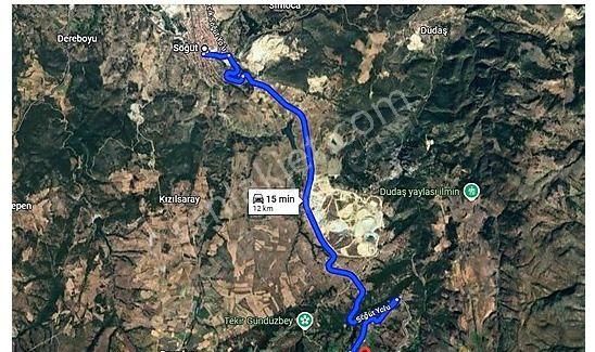 Remax Palas'tan Bilecik Söğüt Gündüzbey Yatırımlık Tarla