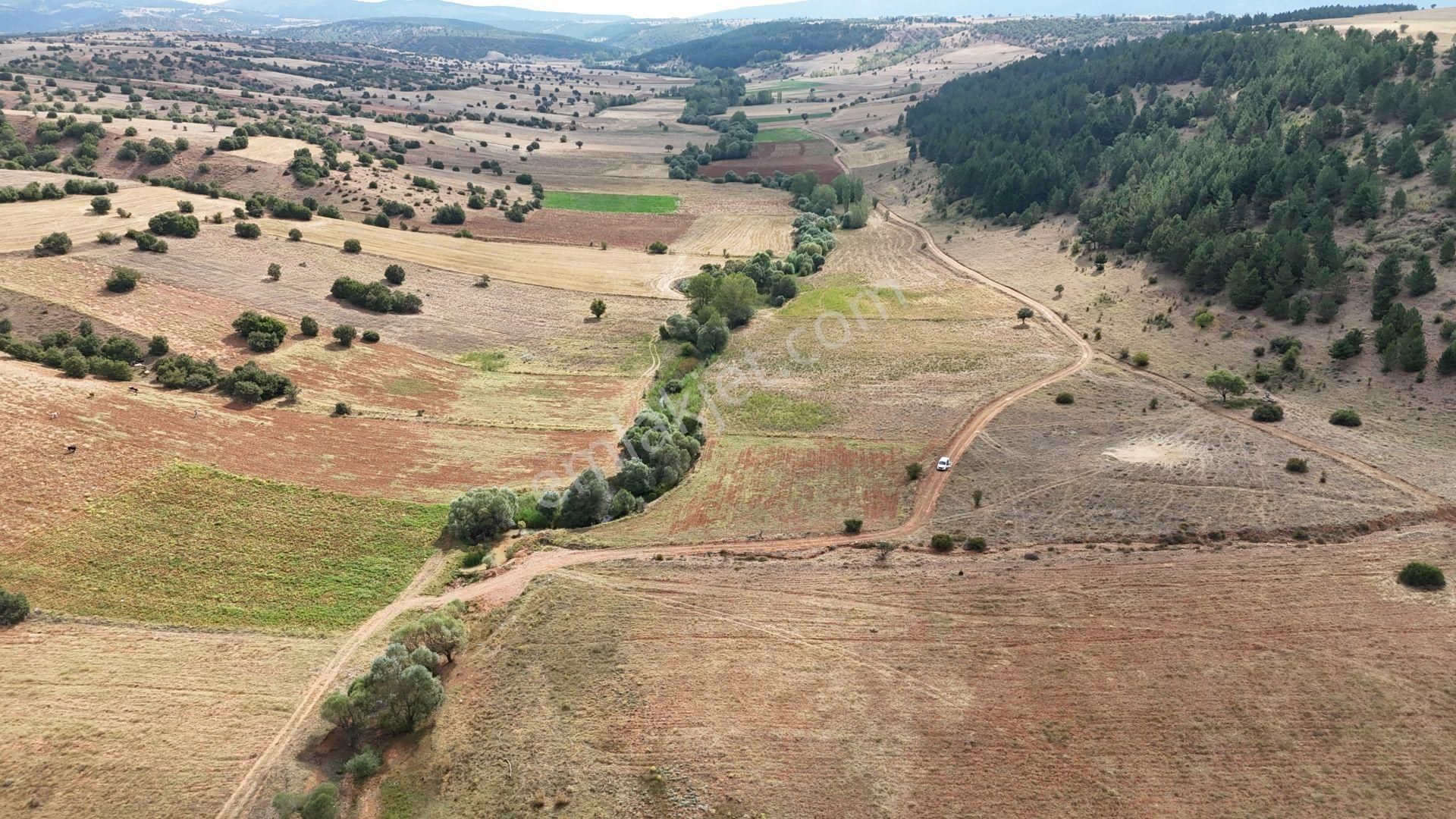 Konya / Ilgın / Belekler De 3.886 M² Müstakil Tarla