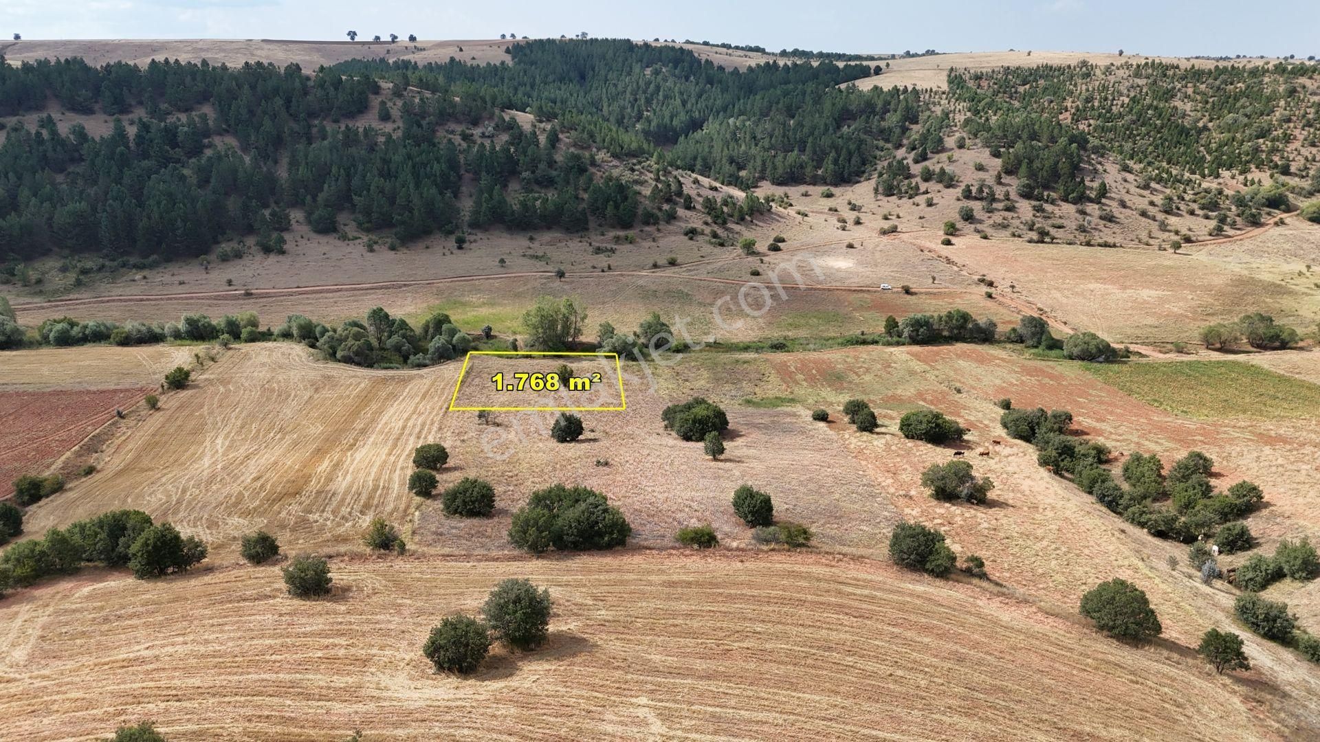 Konya / Ilgın / Belekler De 1.768 M² Müstakil Tarla