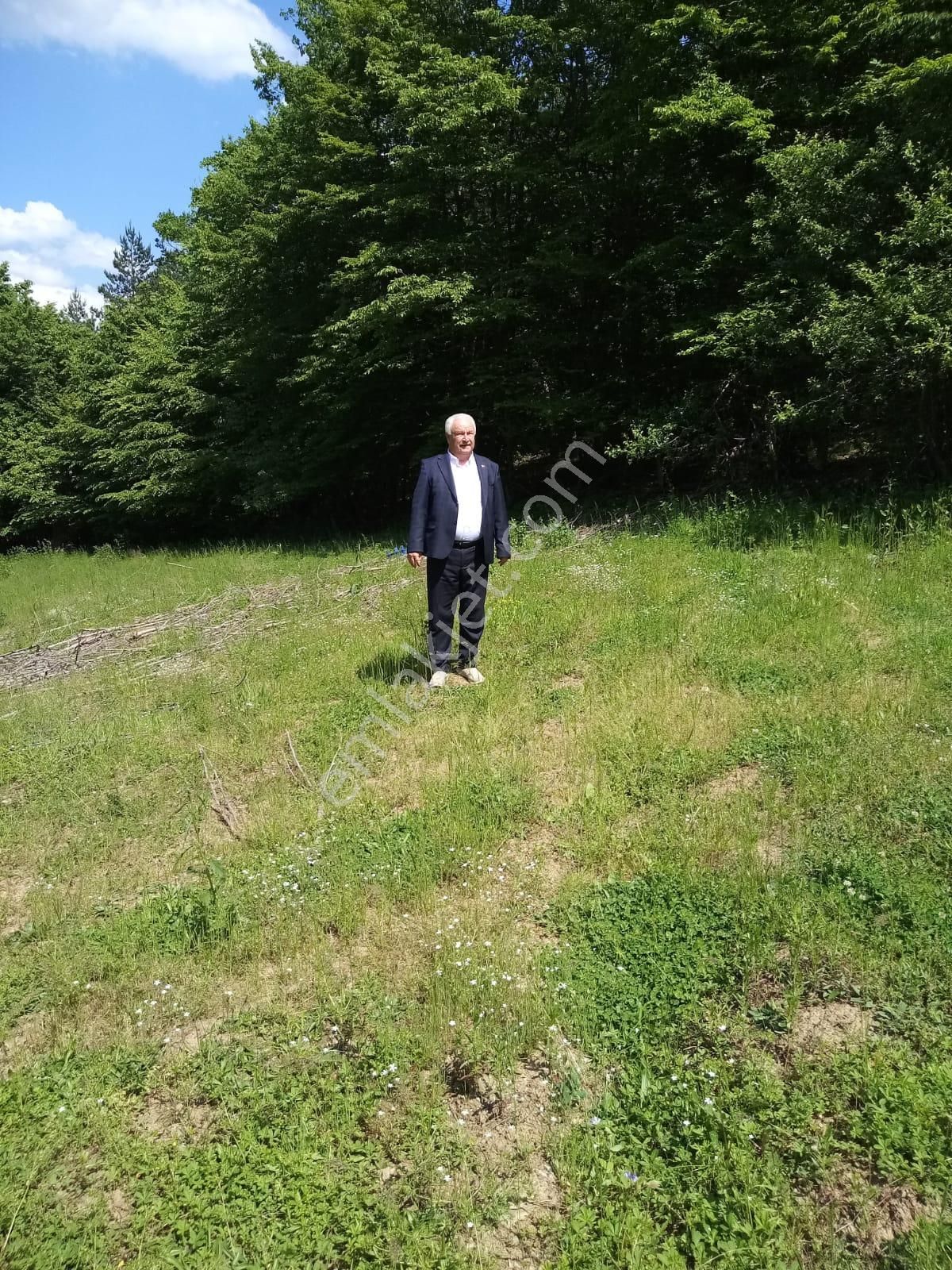 İznik Sansarak Mahallesinde Cazip Fiyata Satılık 40 Dönüm Geniş Arazi