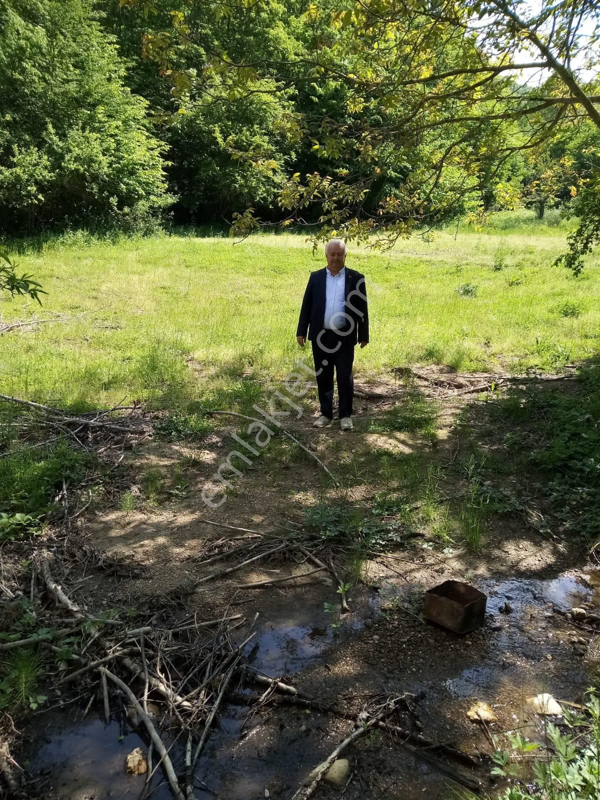 İznik Sansarak Mahallesinde Cazip Fiyata Satılık 40 Dönüm Geniş Arazi - Görsel 6