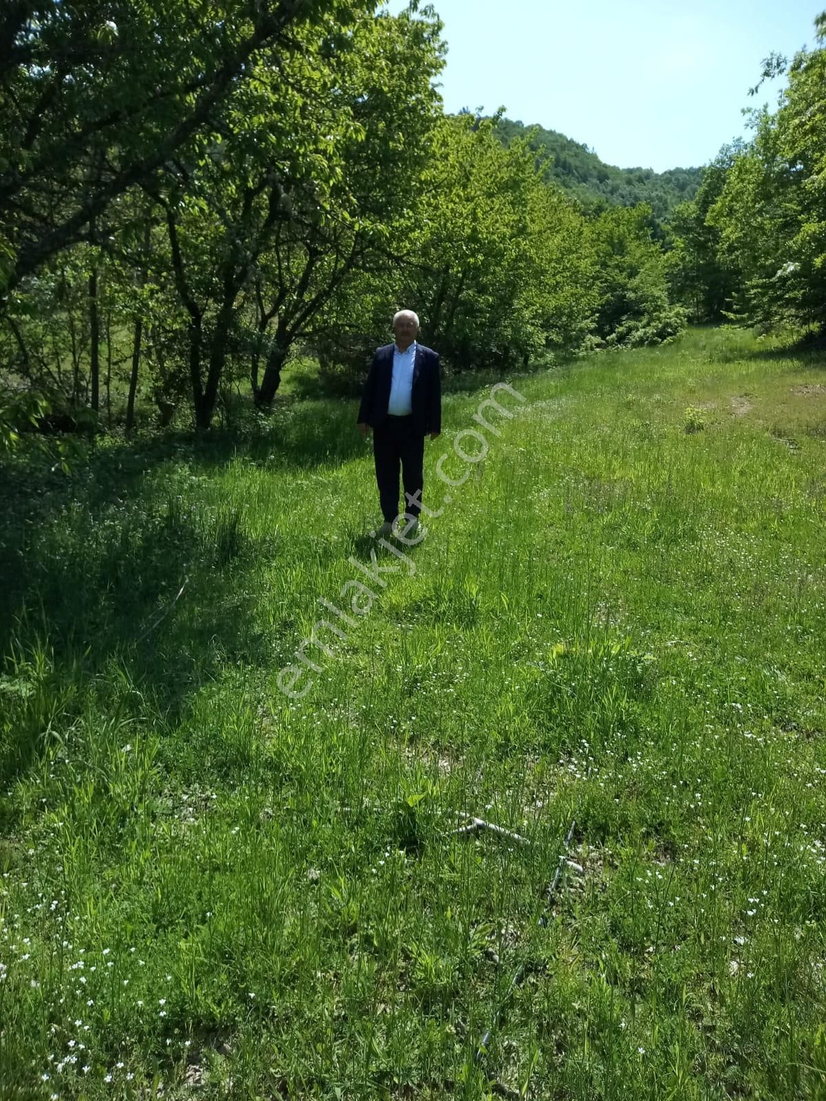 İznik Sansarak Mahallesinde Cazip Fiyata Satılık 40 Dönüm Geniş Arazi - Görsel 3