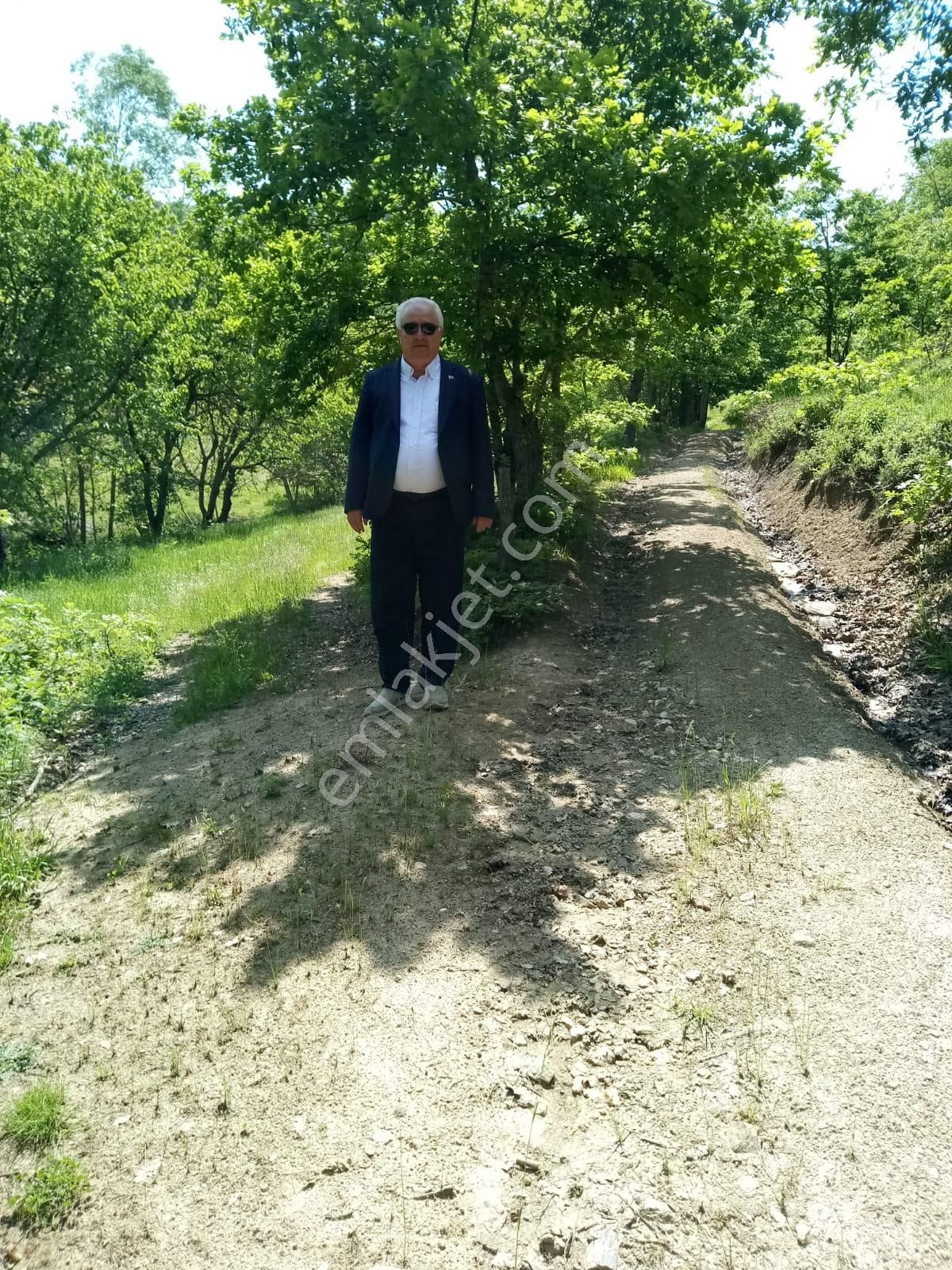 İznik Sansarak Mahallesinde Cazip Fiyata Satılık 40 Dönüm Geniş Arazi - Görsel 5