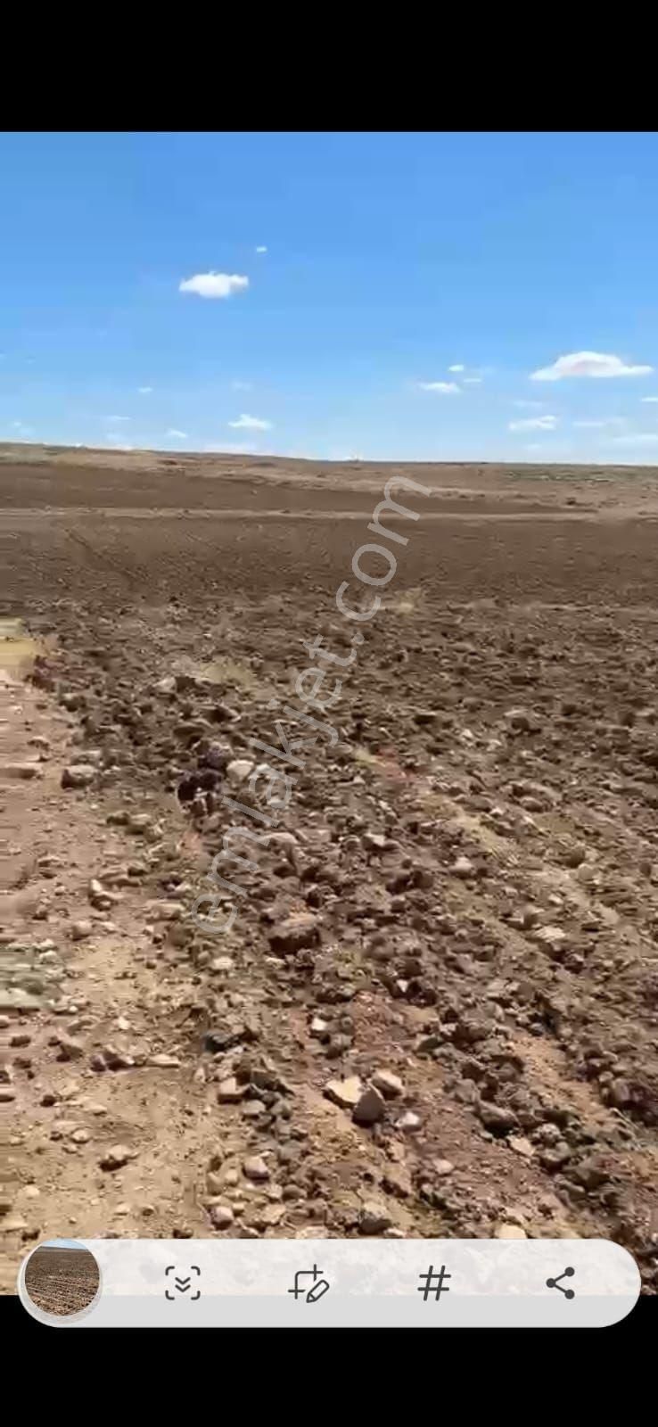 Nigde Bor Karacaören Satılık Tek Tapu Resmı Yolu Olan Tarla
