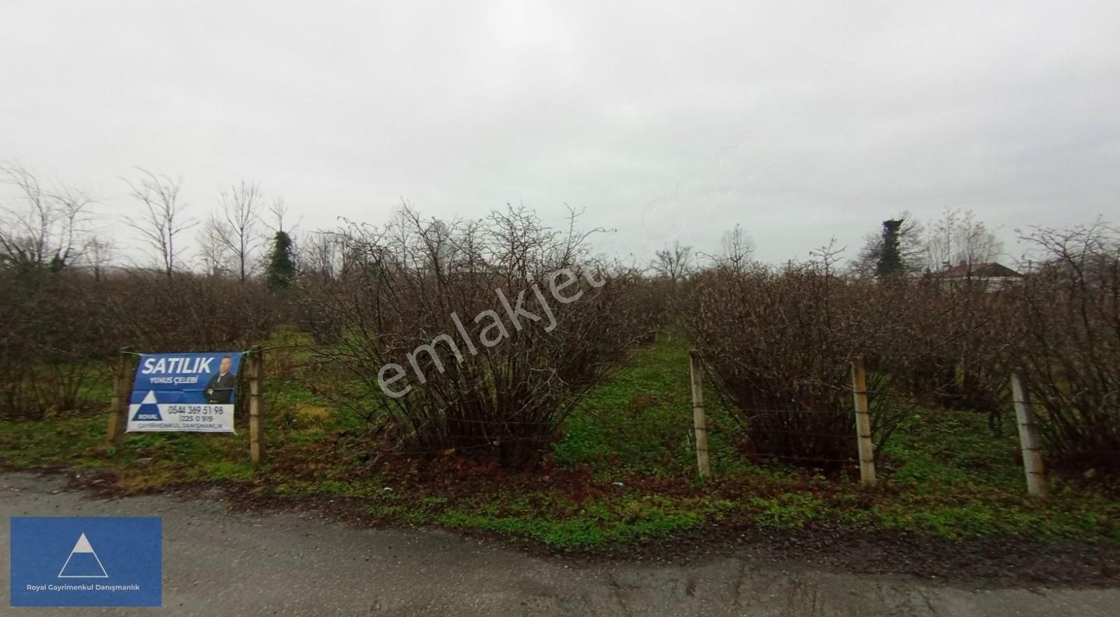 Yunus Çelebi Den Samsun-ordu Karayoluna 80mt Mesafede Arazi