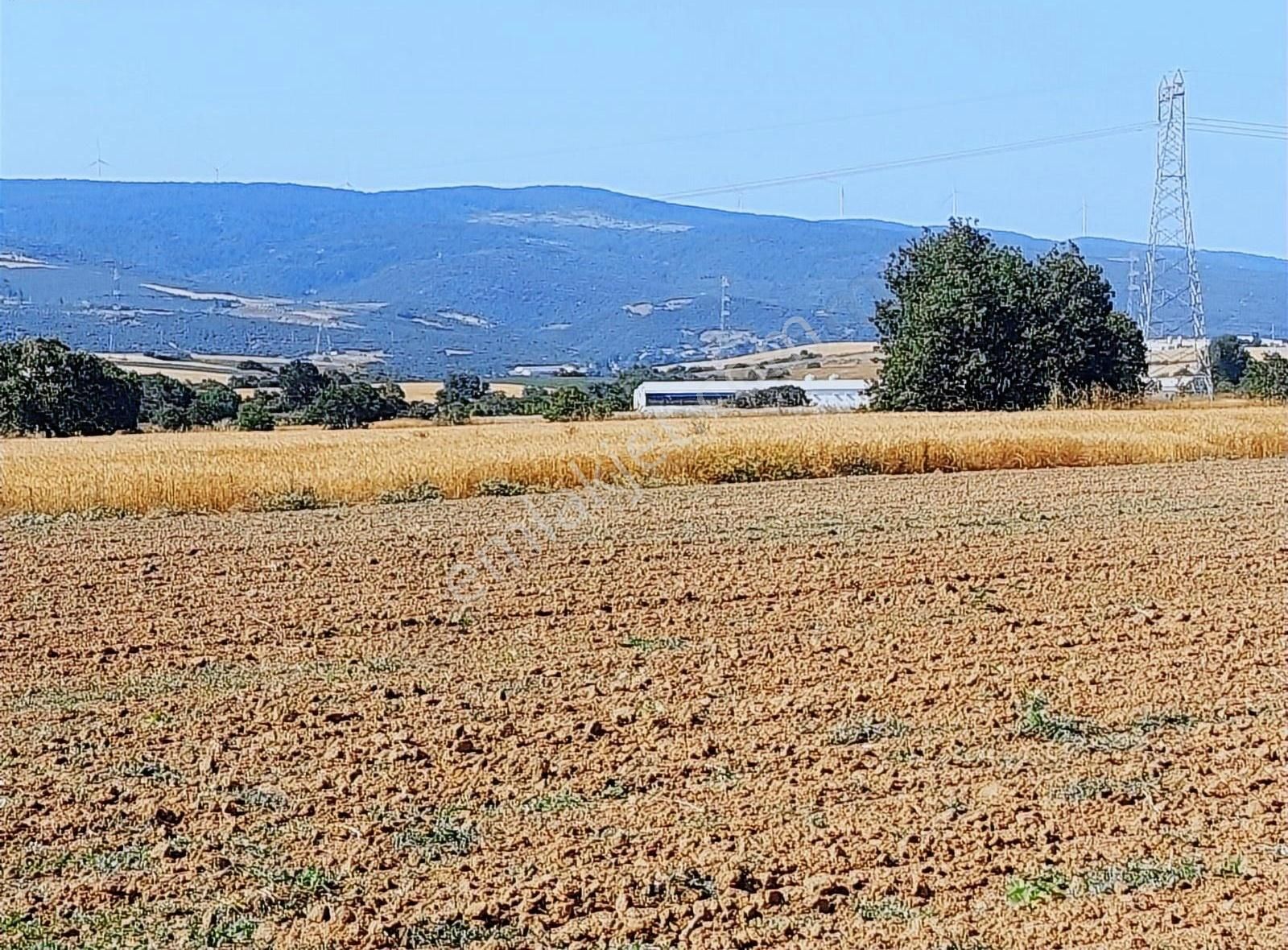 Hanedan'dan Harmanlı Konut Gelisim Alanında Bahçe