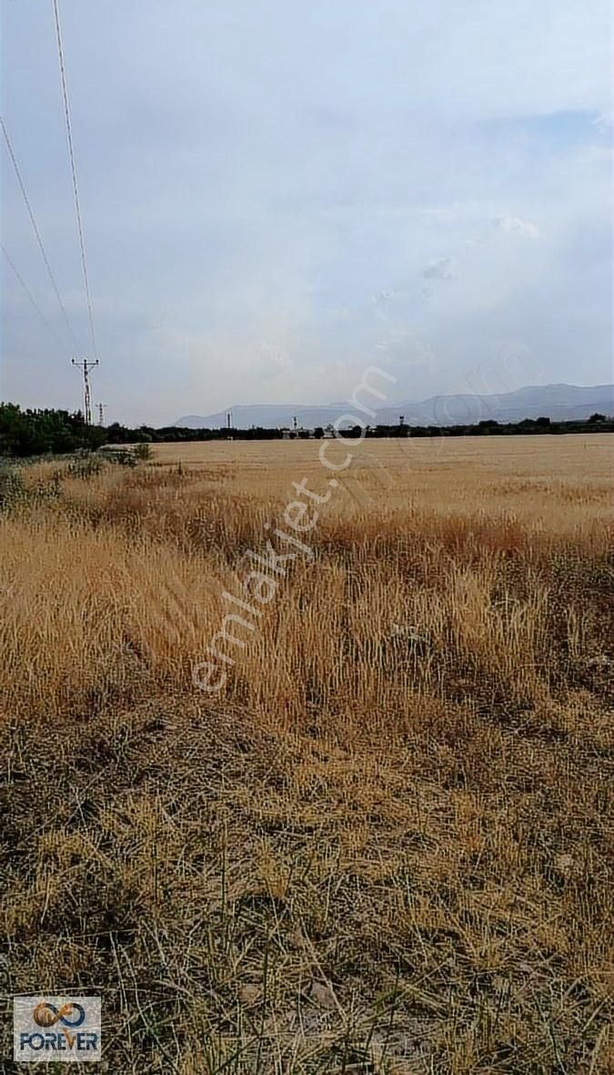 Akçadağ Çatyol Da Satılık Tarla...