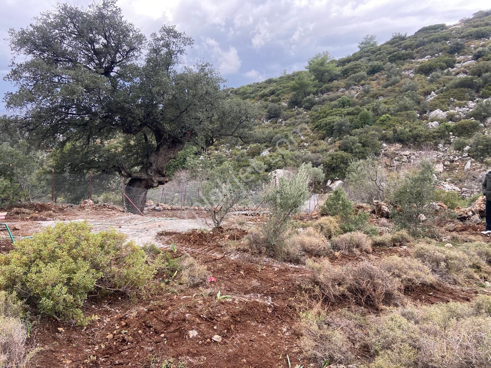 Ebrar&can'dan Söğüt De Hazineye Komşu 155 Metrekare