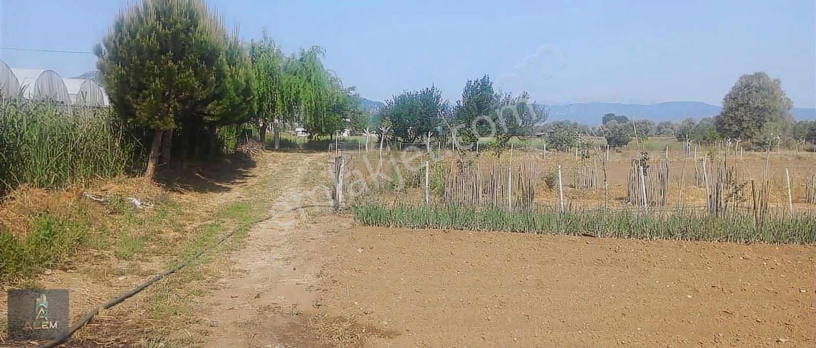 Seydikemer Yayla Ceylanda Satılık 3184m2 Bahçeli Müstakil Ev
