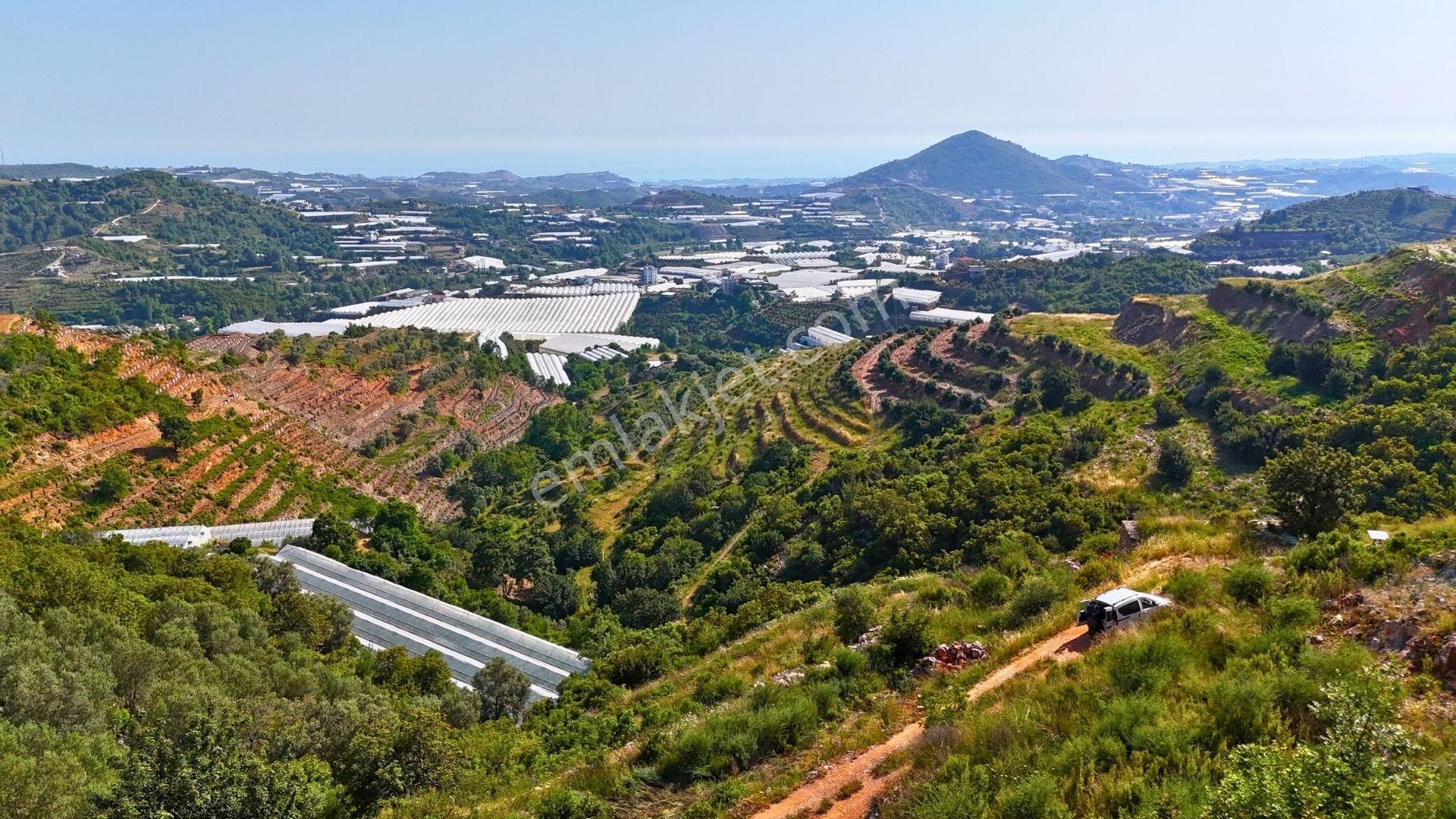 Satılık 3.257 M² Deniz Manzaralı Tarla, Alanya-yeniköy - Görsel 15