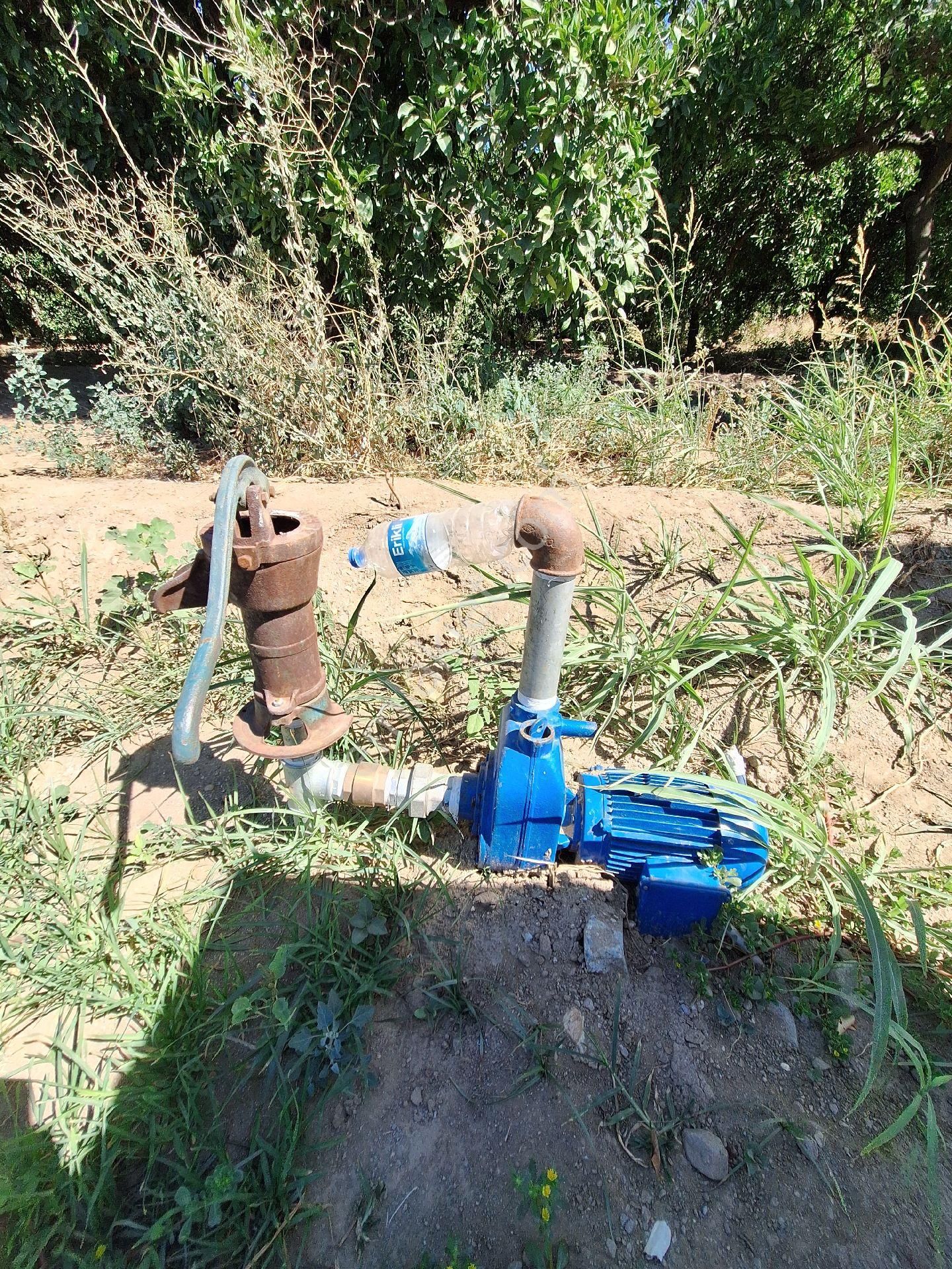 Merkez E Yakın Elektrik Su Problemi Olmayan Bahçe - Görsel 12