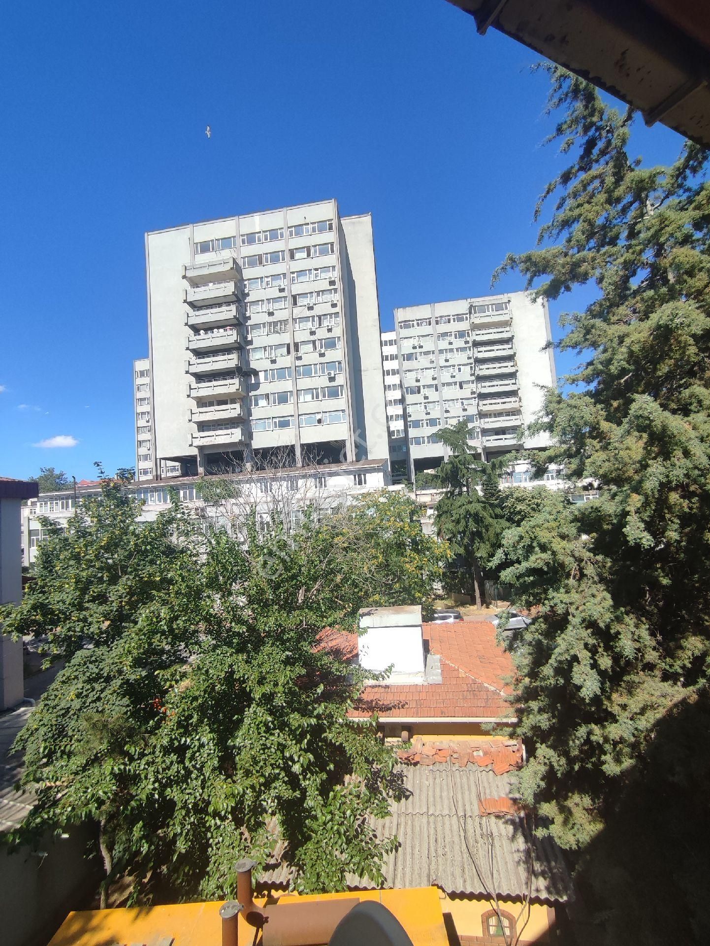 🌿 Şişli’nin Göbeğinde Benzersiz, Komple Yenilenmiş Yaşam Alanı! 🌿