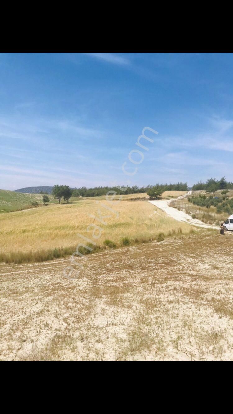 Satılık Tarla Osb’ye 500 Metre Uzaklıkta