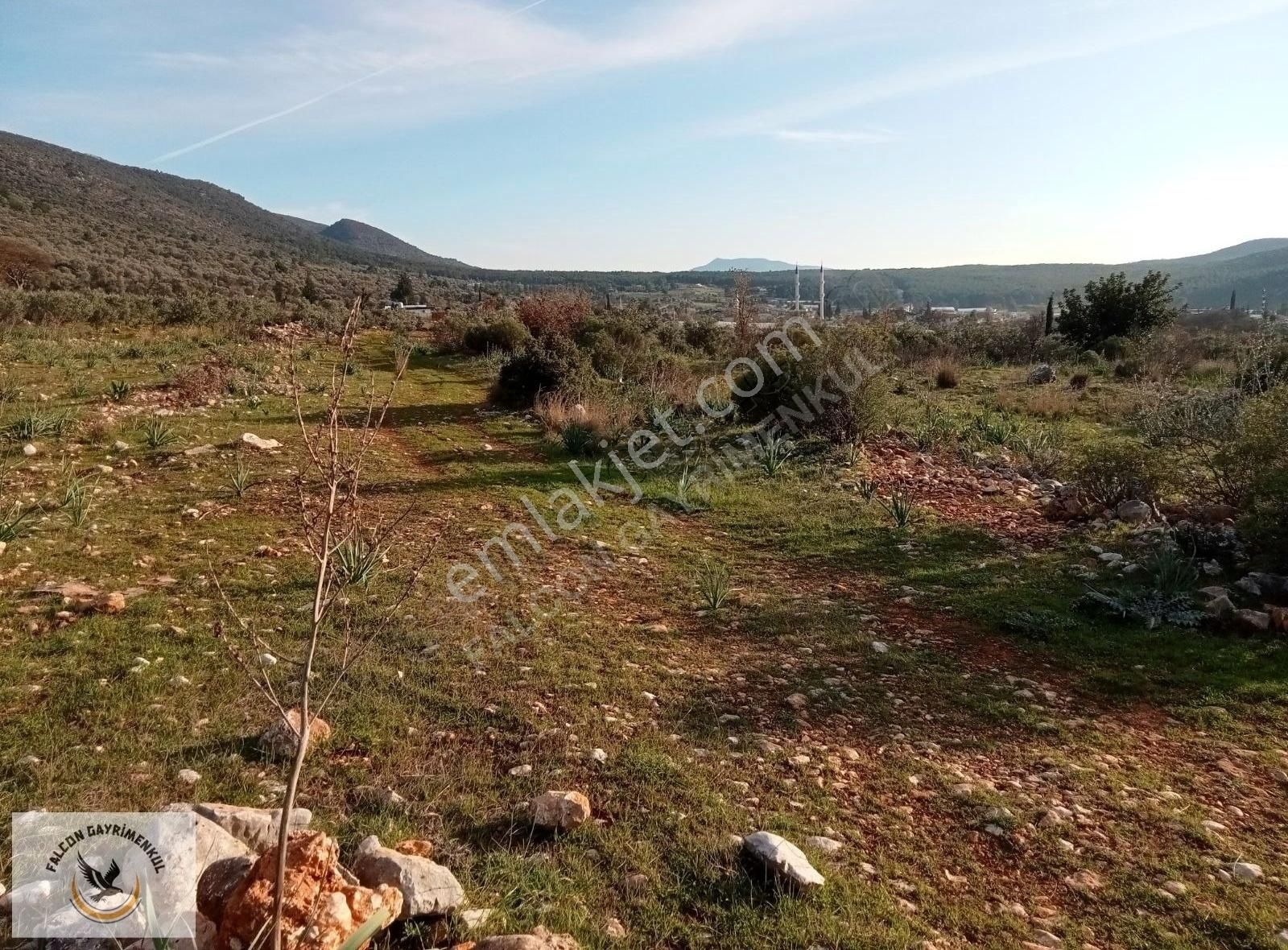 Falcon Dan Palamut Da Fırsat 4722m² Tarla - Görsel 12