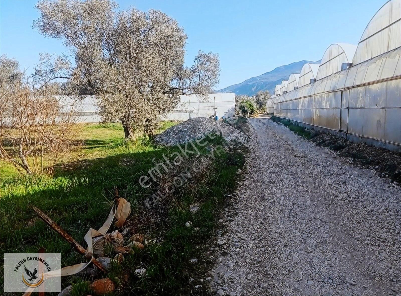 Falcon Dan Çavdır Da Frsat 1128m²arsa - Görsel 11
