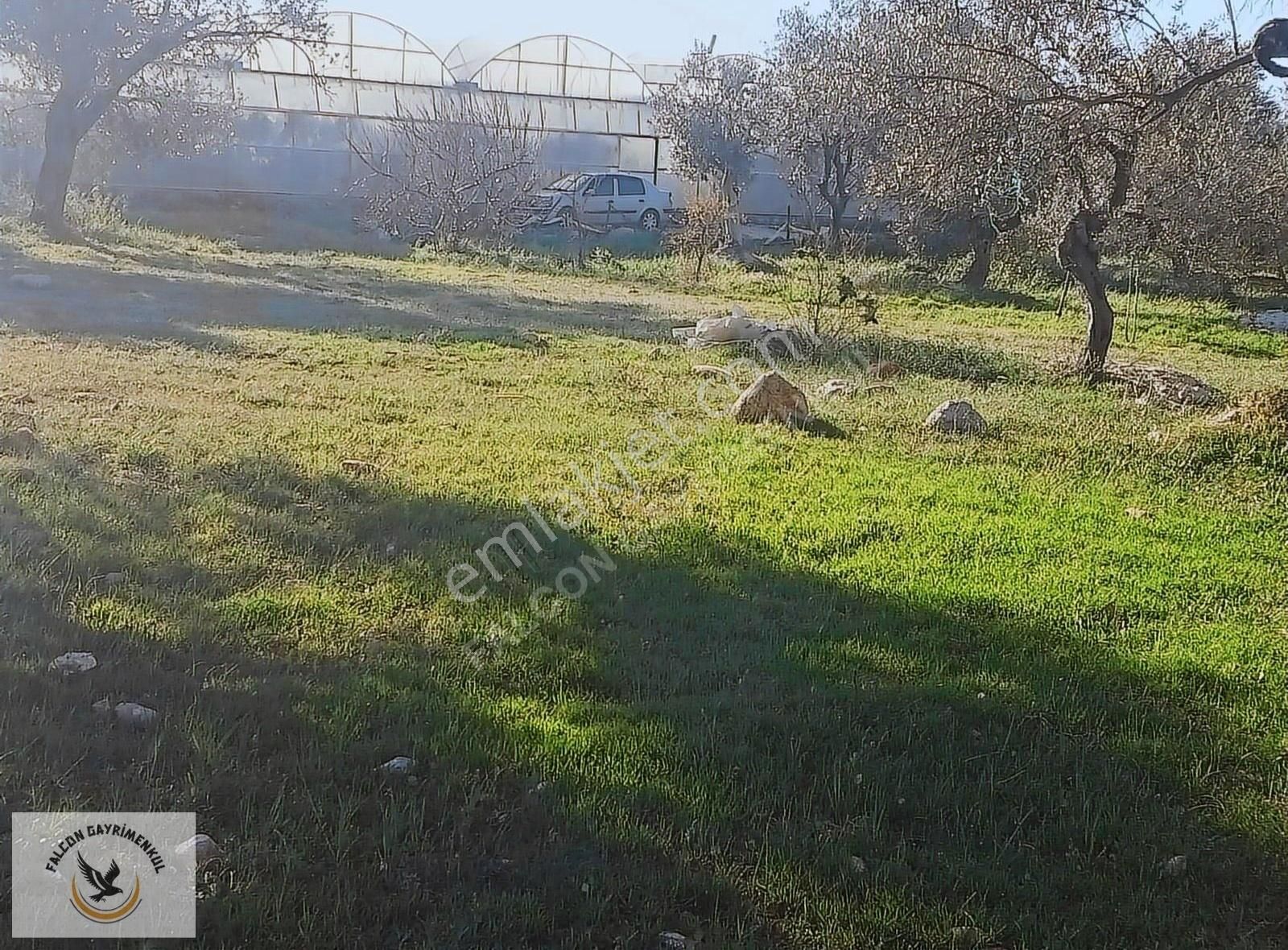 Falcon Dan Çavdır Da Frsat 1128m²arsa - Görsel 6