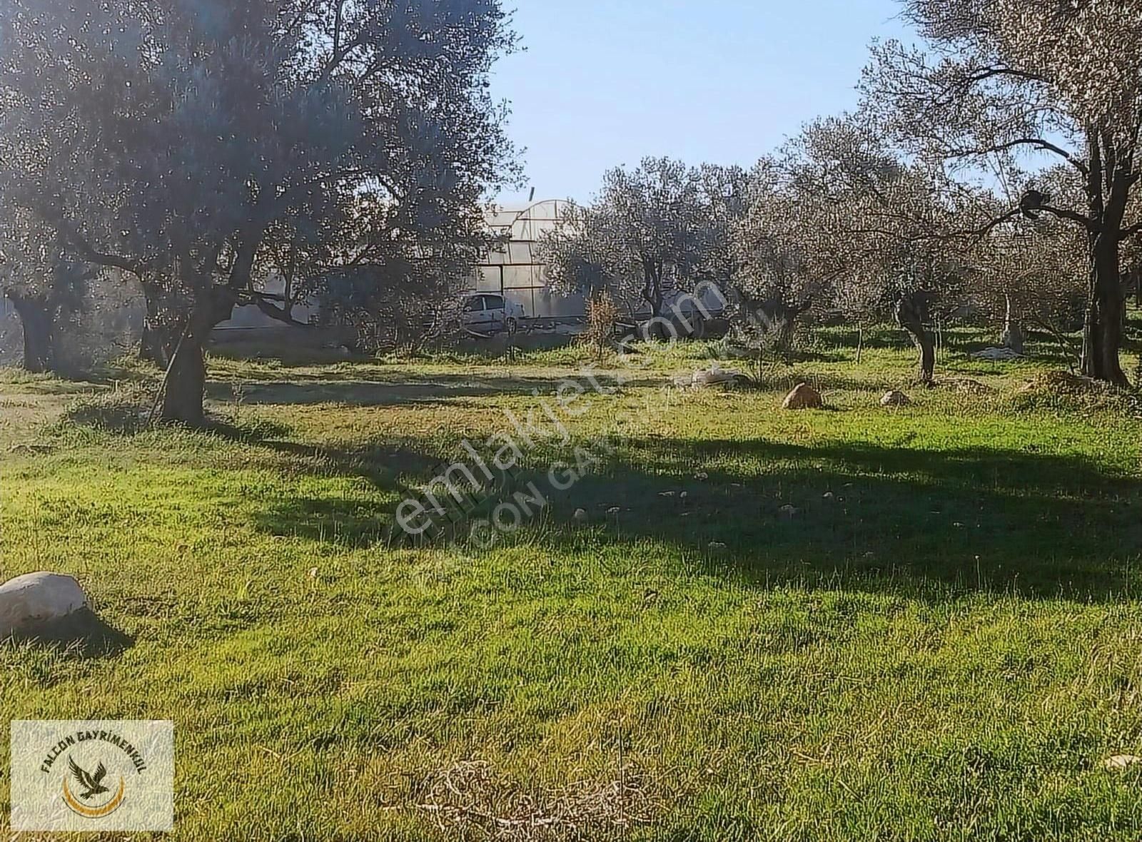 Falcon Dan Çavdır Da Frsat 1128m²arsa - Görsel 13