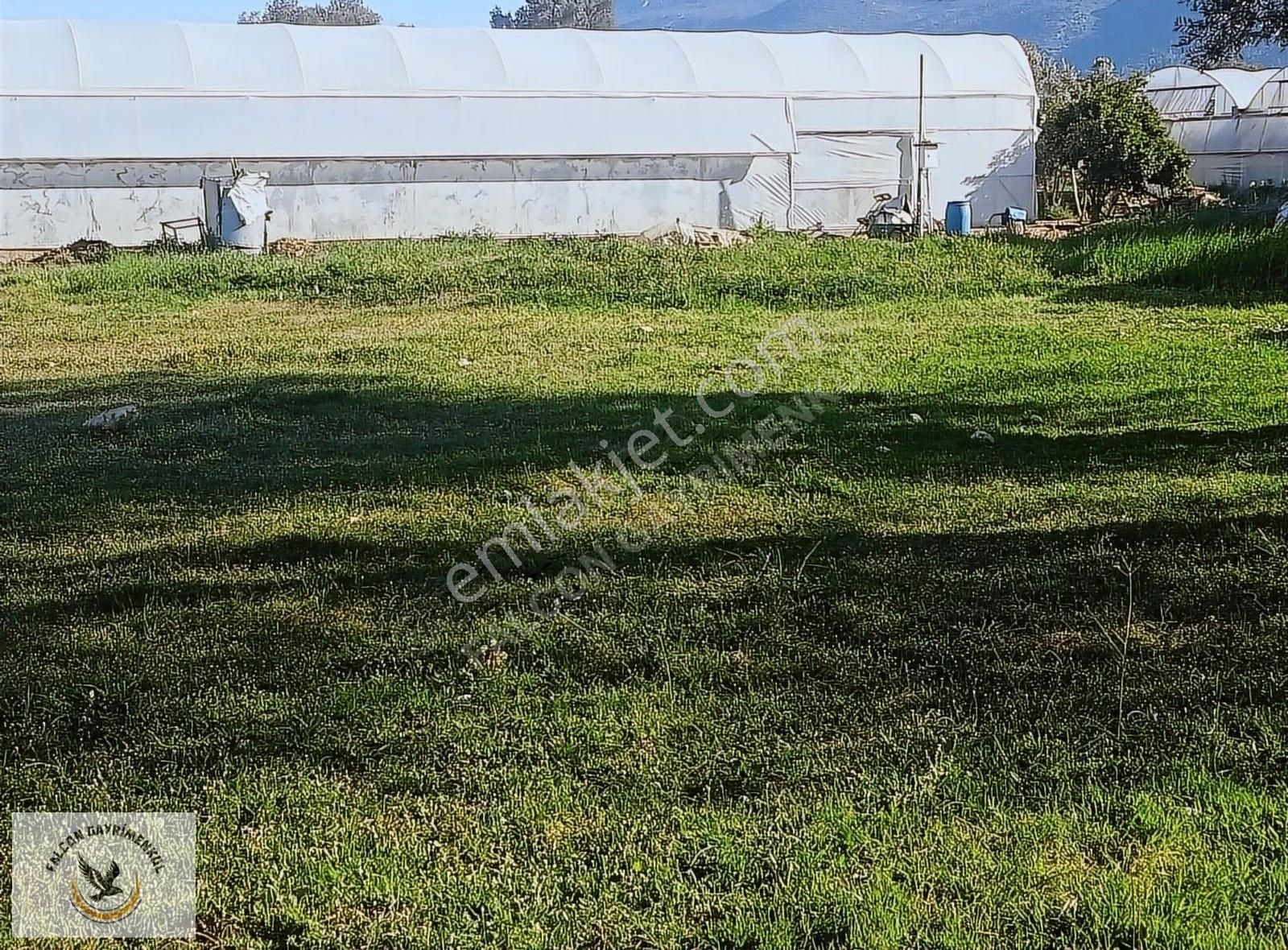 Falcon Dan Çavdır Da Frsat 1128m²arsa - Görsel 2