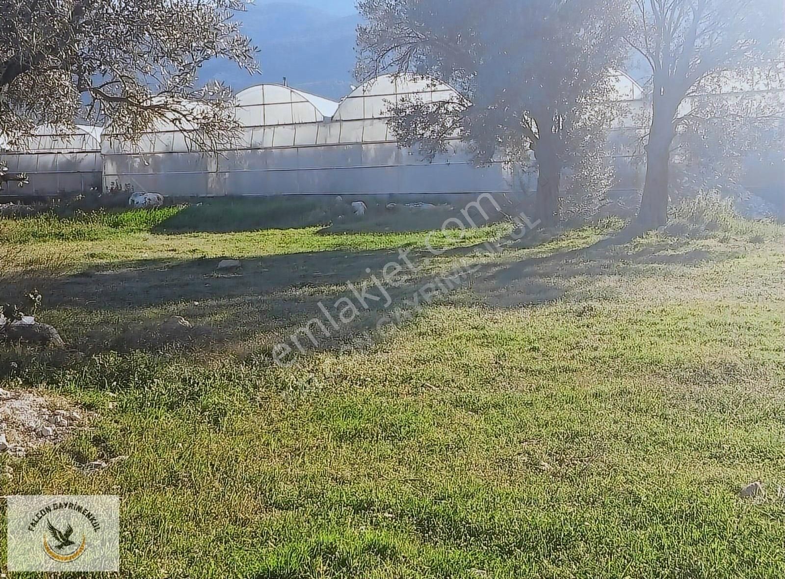 Falcon Dan Çavdır Da Frsat 1128m²arsa - Görsel 10