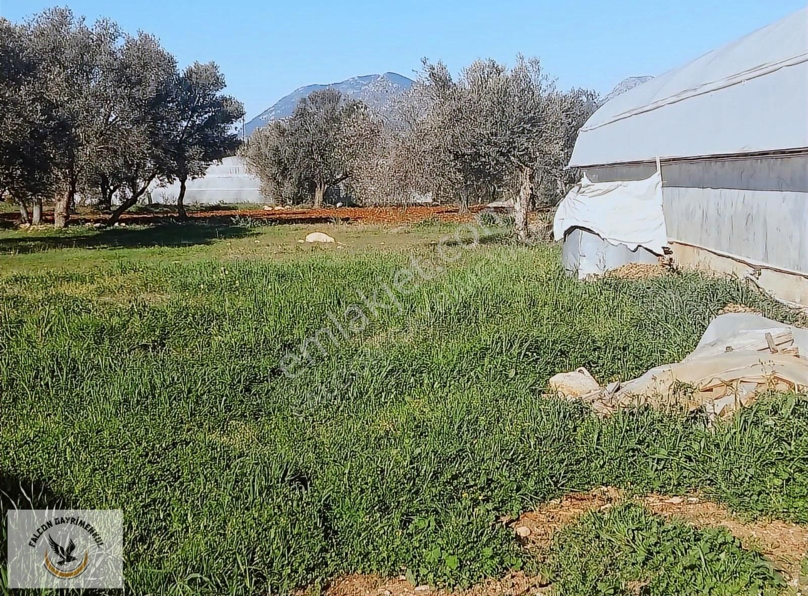 Falcon Dan Çavdır Da Frsat 1128m²arsa - Görsel 7