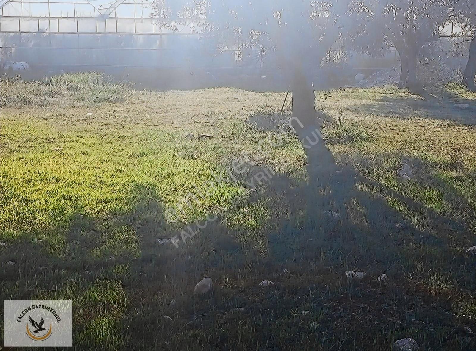 Falcon Dan Çavdır Da Frsat 1128m²arsa - Görsel 9