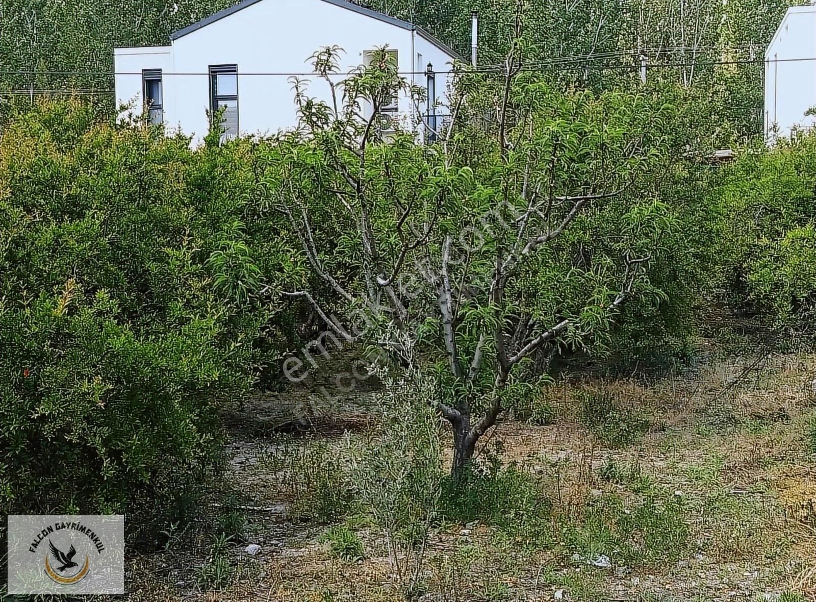 Falcon Dan Gerişburnu Fırsat 570m²arsa - Görsel 3