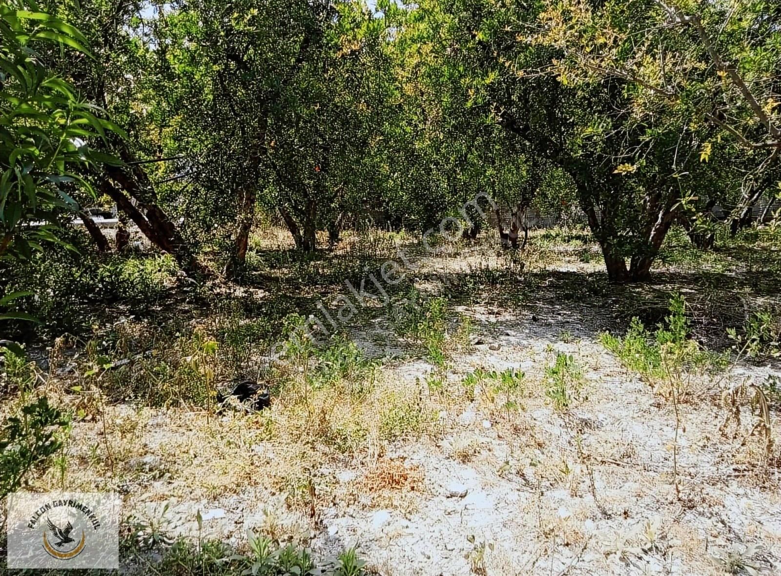 Falcon Dan Gerişburnu Fırsat 570m²arsa - Görsel 5