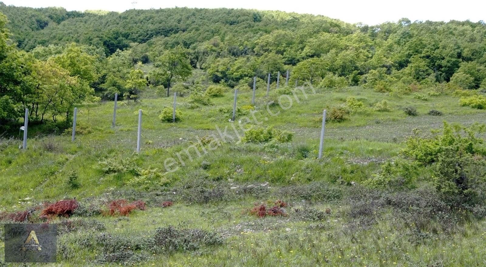 Şile Ağva İzmit Arasında 2b Kayıtlı %5 İmarlı Doğa İç İçe