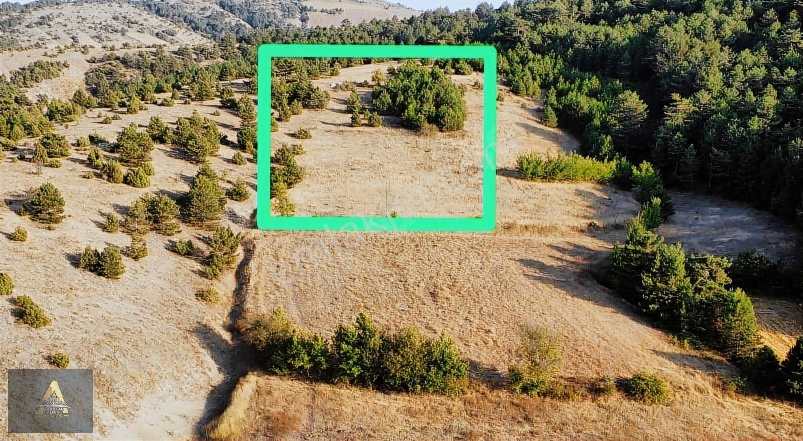 Köy'e Yakın Yatırımlık Tarla Bilecik Gölpazarı Kümbet Köyü