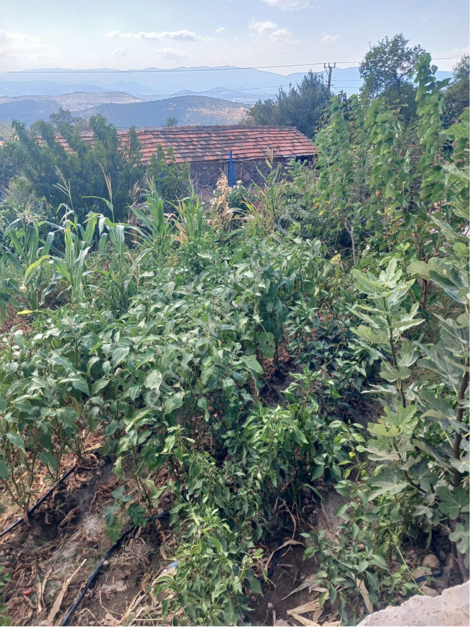 🏡 Köy Evi — Hayalini Yaşa! - Görsel 10