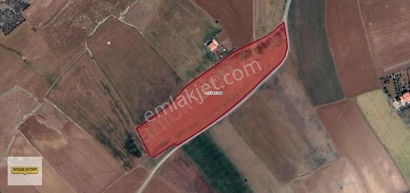 Pamukçu Da Yatırımlık Fırsat! Geniş Ve Verimli Satılık Tarla!