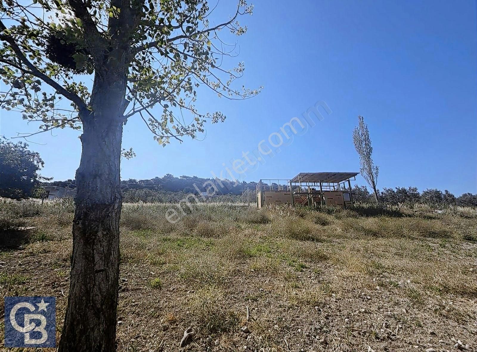 Cb Odak Gayrimenkulden Müstakil Tapu 1638 M2 Satılık Zeytinlik - Görsel 24