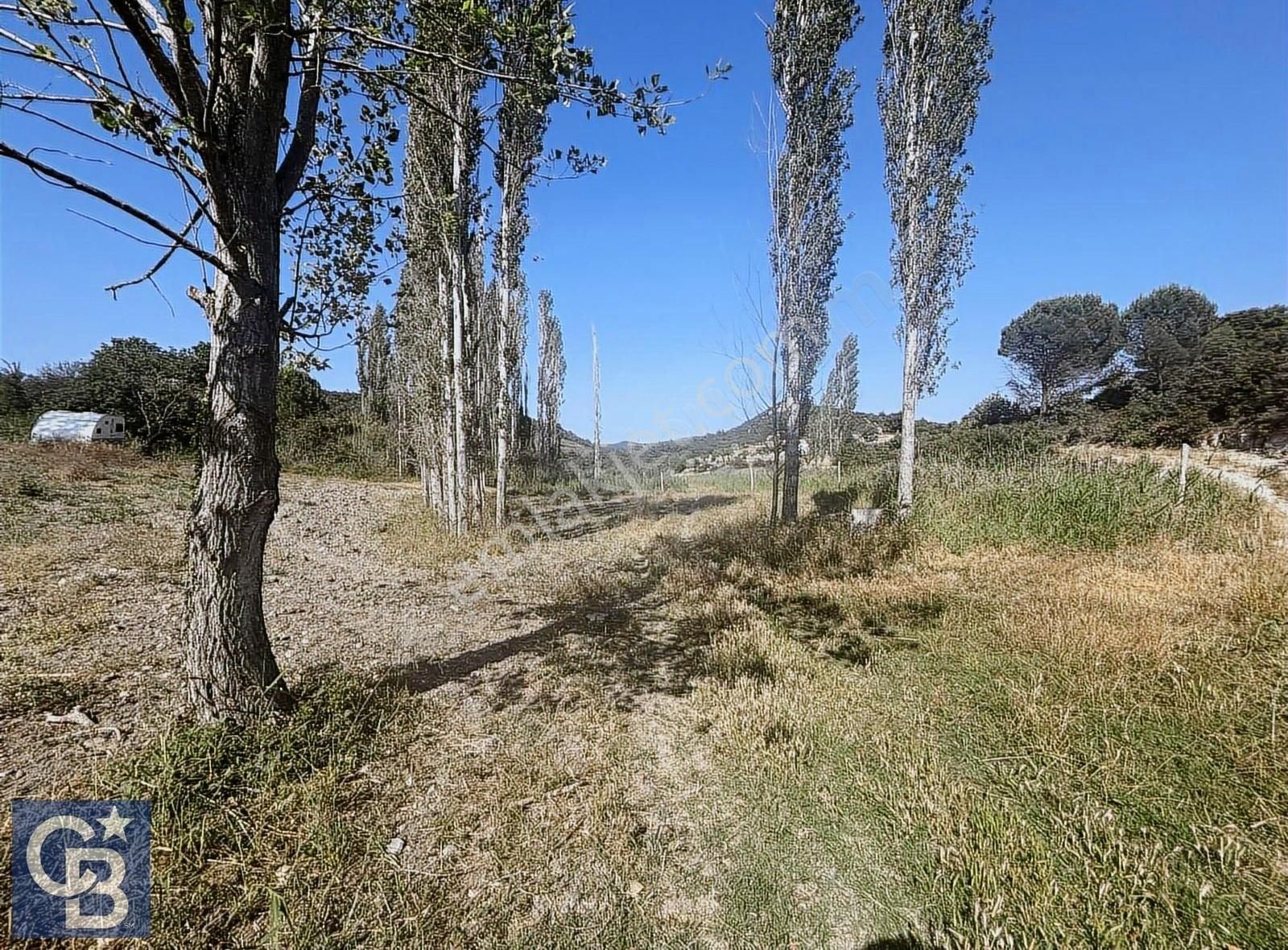 Cb Odak Gayrimenkulden Müstakil Tapu 1638 M2 Satılık Zeytinlik - Görsel 13