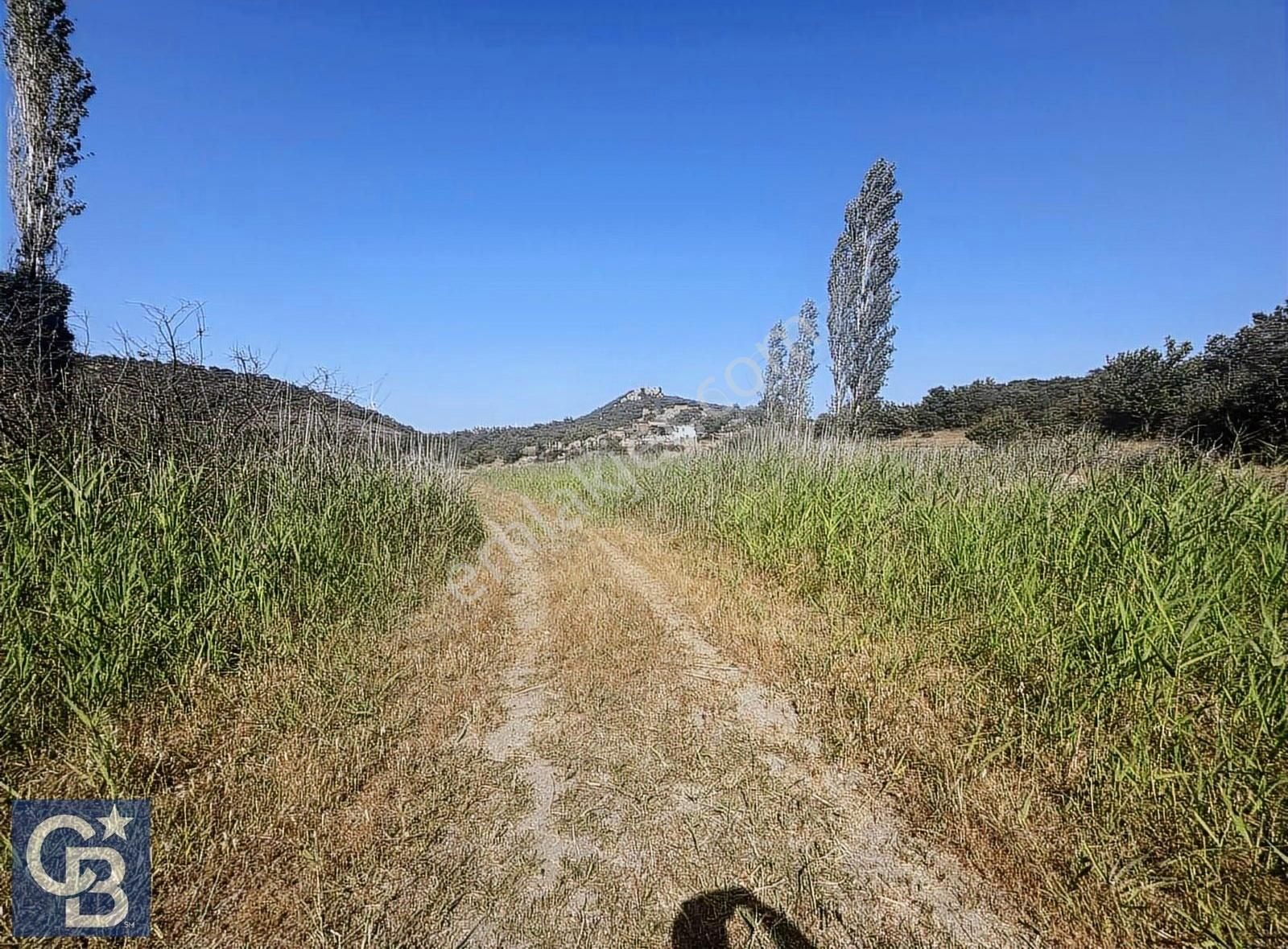 Cb Odak Gayrimenkulden Müstakil Tapu 1638 M2 Satılık Zeytinlik - Görsel 19