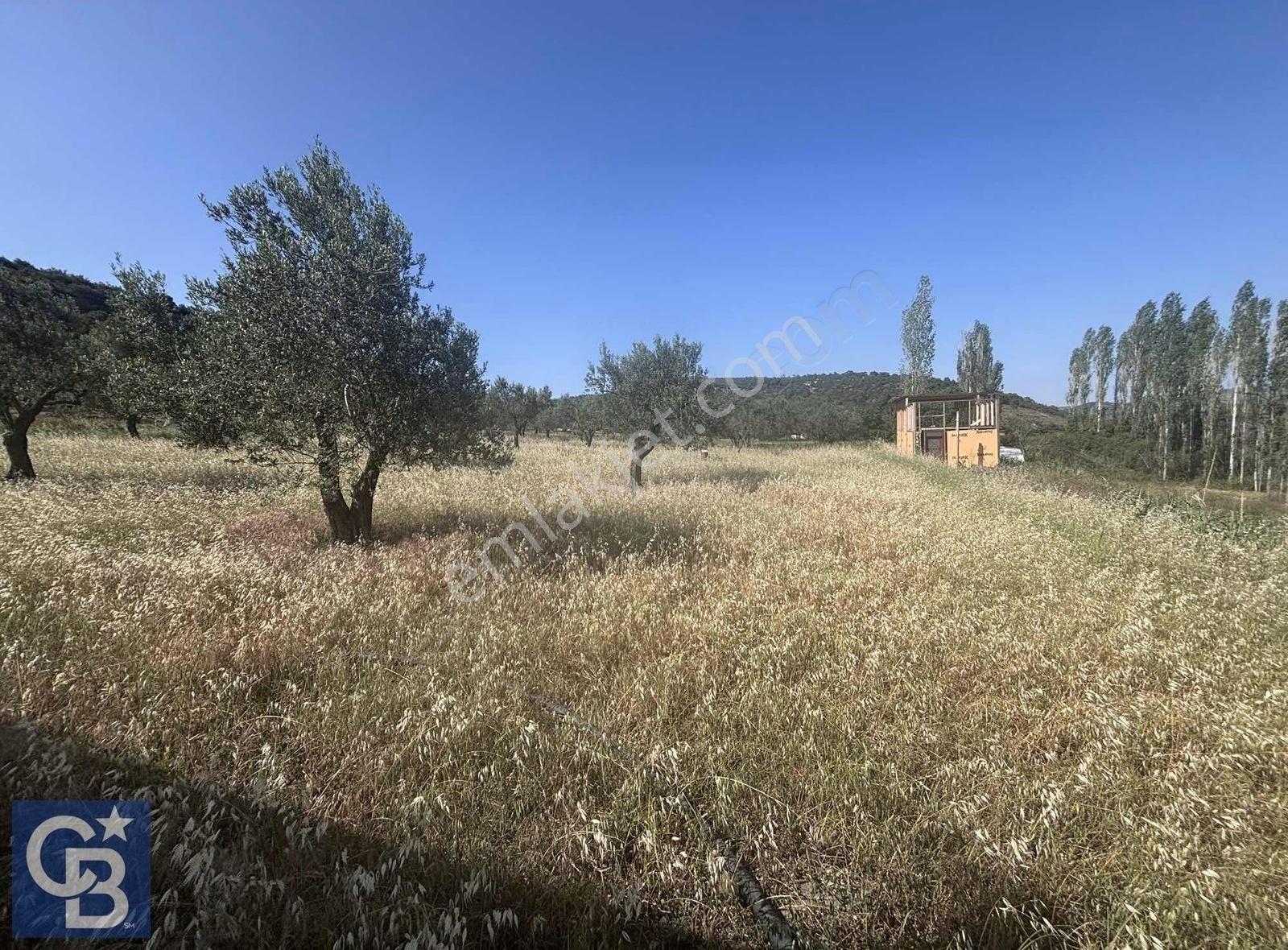 Cb Odak Gayrimenkulden Müstakil Tapu 1638 M2 Satılık Zeytinlik - Görsel 20