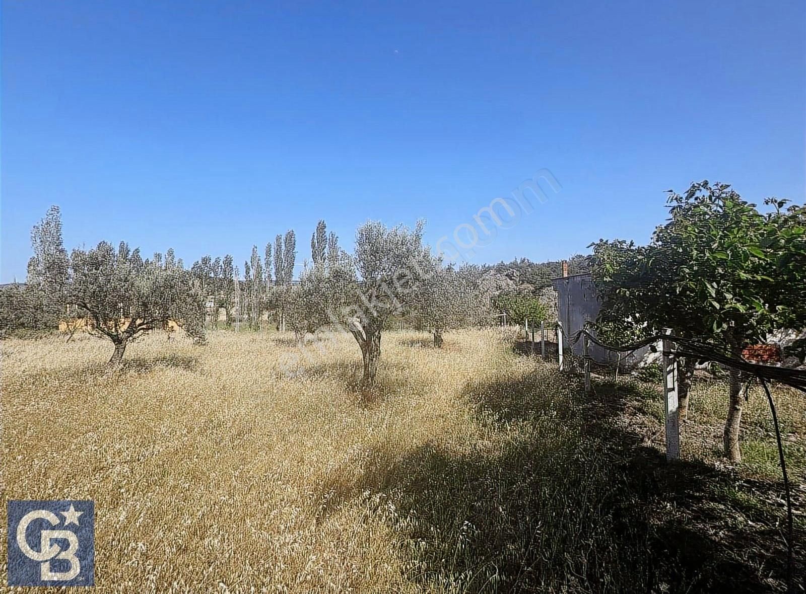Cb Odak Gayrimenkulden Müstakil Tapu 1638 M2 Satılık Zeytinlik - Görsel 21