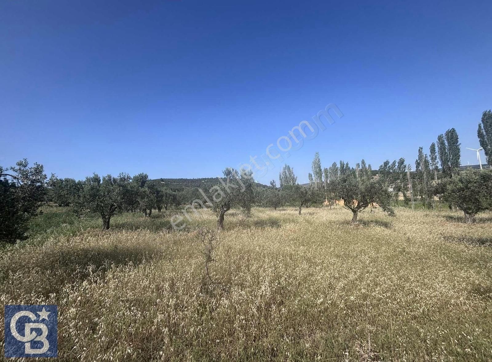 Cb Odak Gayrimenkulden Müstakil Tapu 1638 M2 Satılık Zeytinlik - Görsel 10