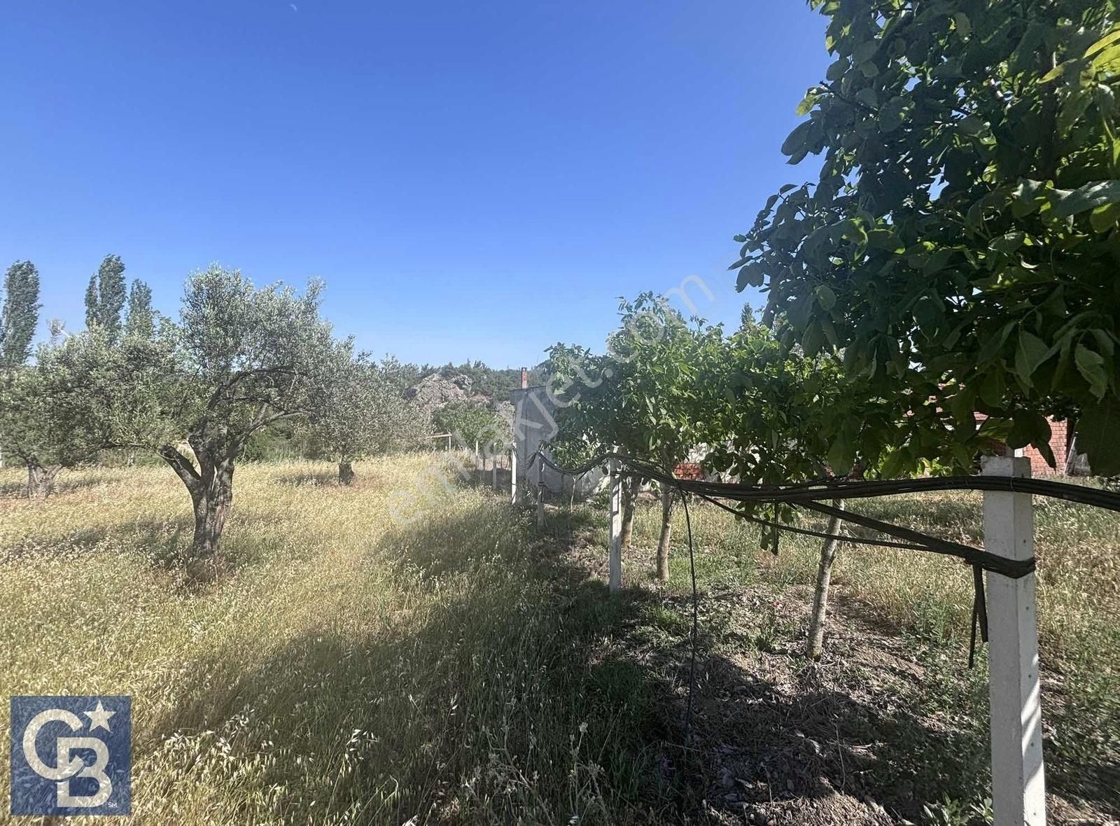 Cb Odak Gayrimenkulden Müstakil Tapu 1638 M2 Satılık Zeytinlik - Görsel 31