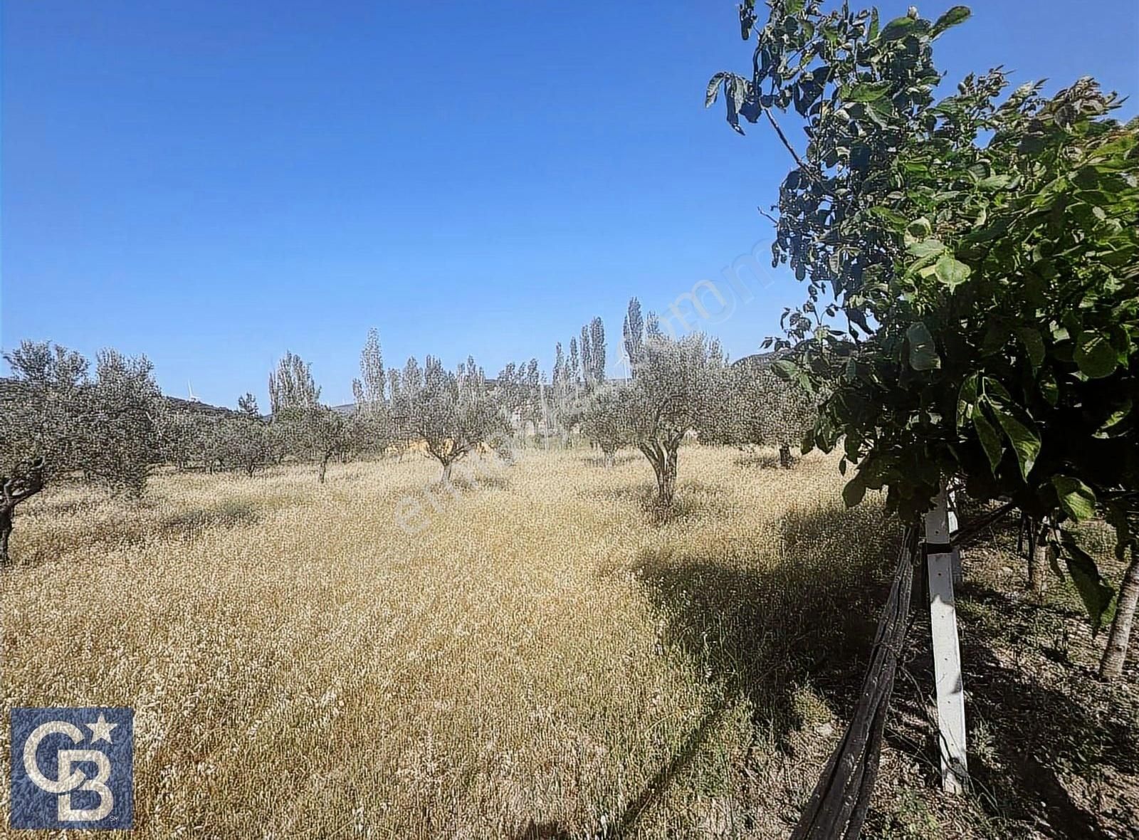 Cb Odak Gayrimenkulden Müstakil Tapu 1638 M2 Satılık Zeytinlik - Görsel 30